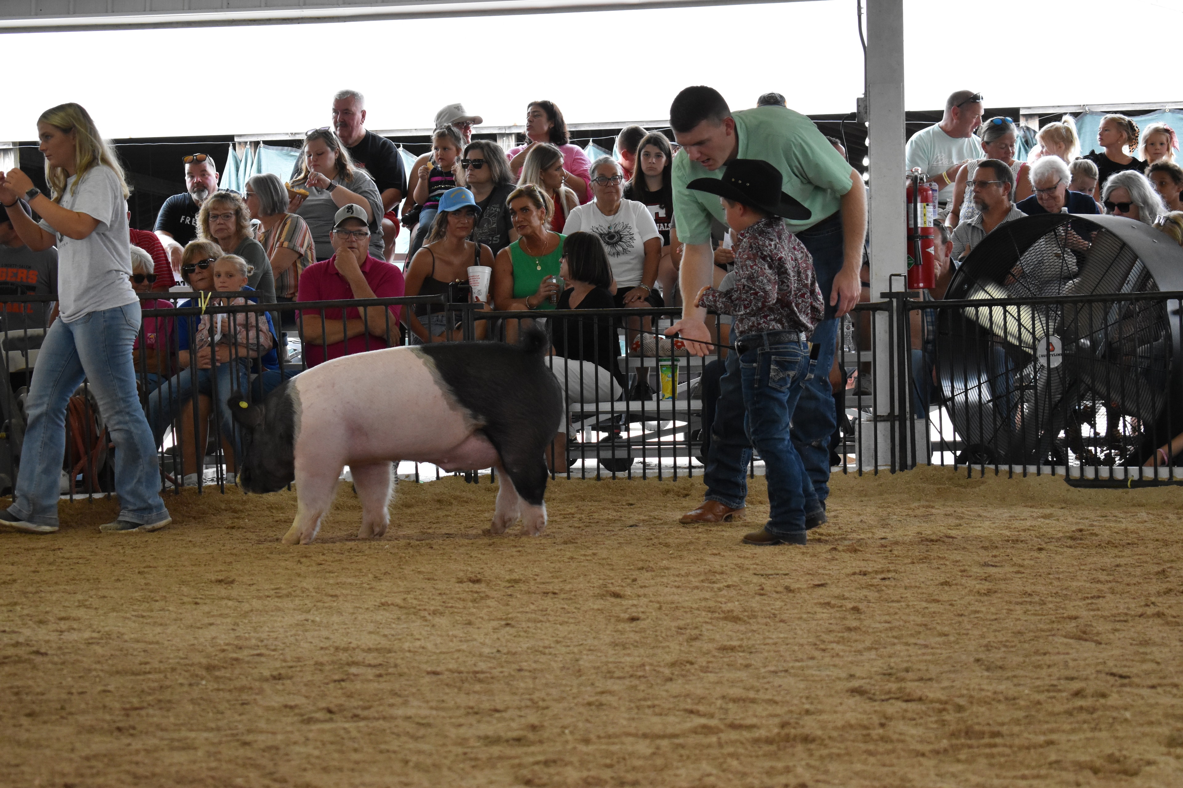 Small boy in black cowboy hat and paisley shirt steering large black-and-white Hampshire cross pig with judge in green shirt leaning alongside — packed grandstands with trees visible outside