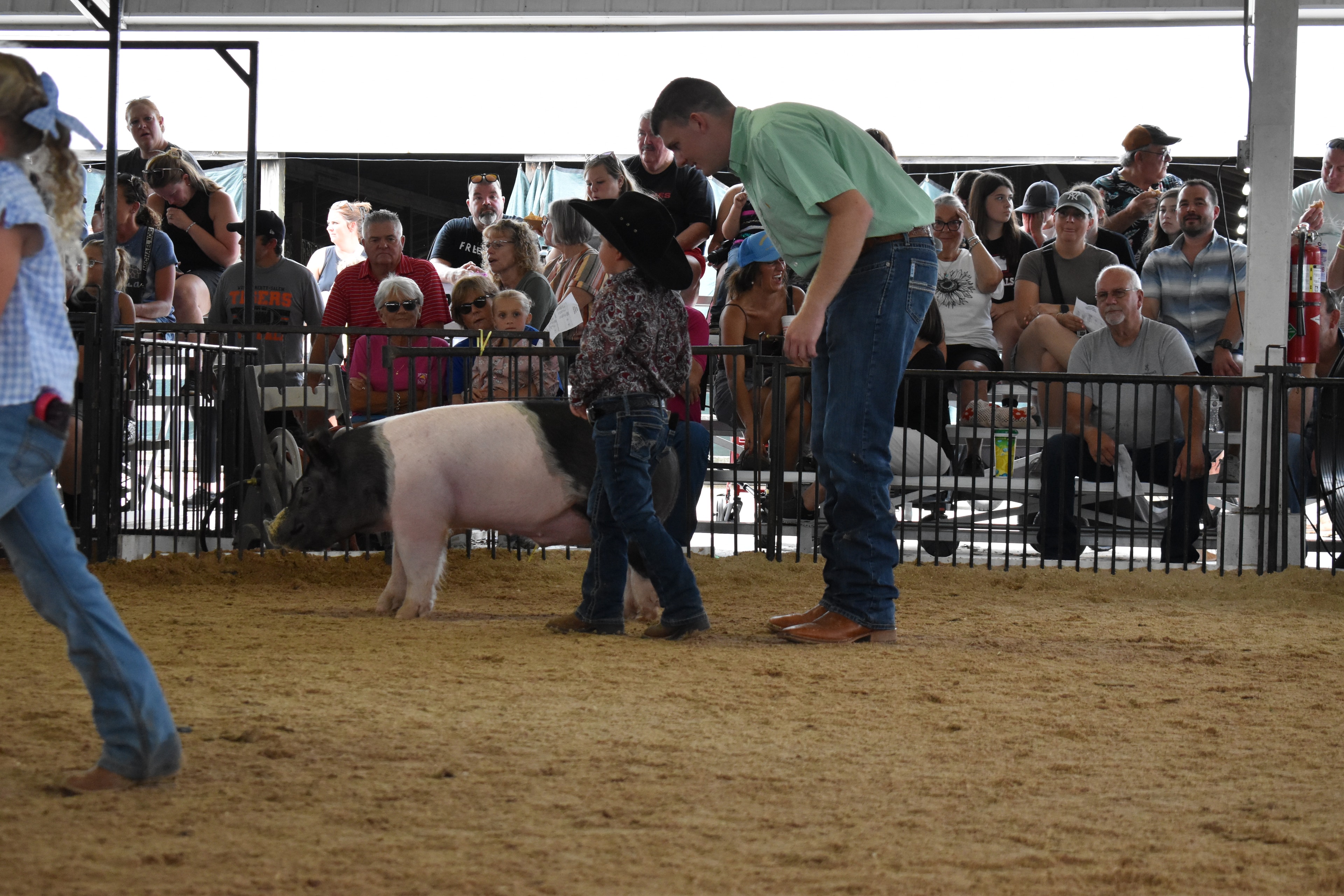 Small boy in black cowboy hat and paisley shirt steering large black-and-white Hampshire cross pig with judge in green shirt guiding him — packed grandstands and arena fan behind