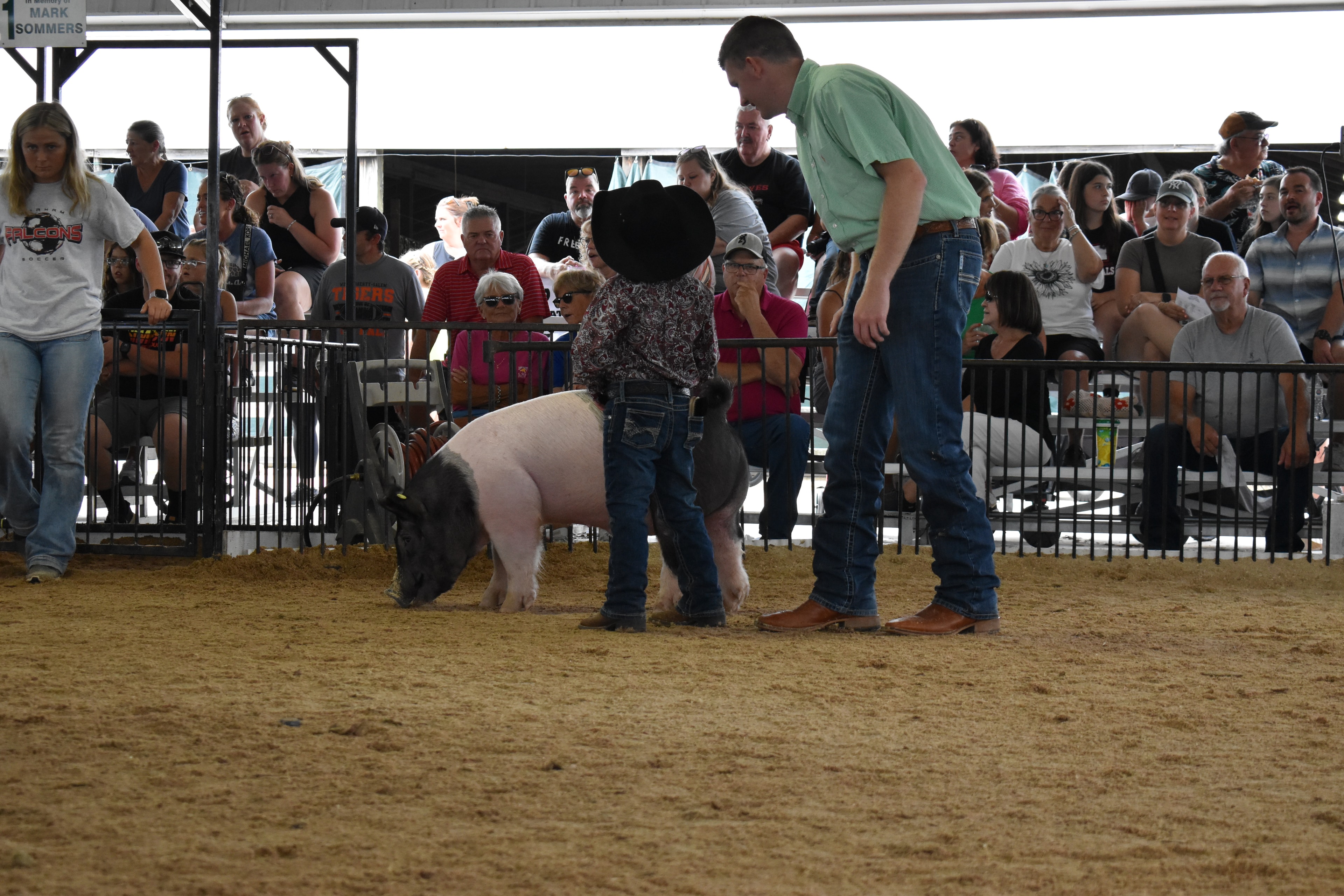 Small boy in black cowboy hat and paisley shirt steering large black-and-white Hampshire cross pig with judge in green shirt leaning over to coach — packed grandstands and arena fan behind