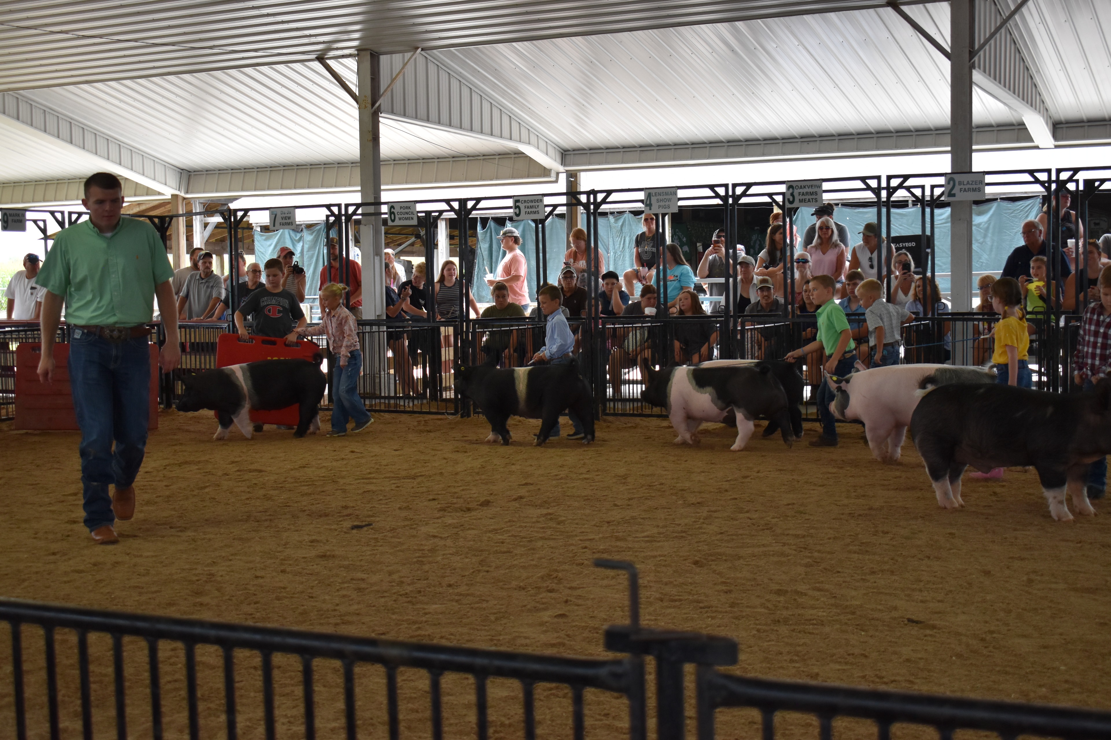 Boy in green shirt and girl in floral shirt jointly steering large black-and-white Hampshire cross pig with girl in pink shirt and red pig at left — Mark IV Farm, J.B.S. United, Da Ja View Farms, Pork Council Women, Lensman Show Pigs sponsor pens behind with packed grandstands