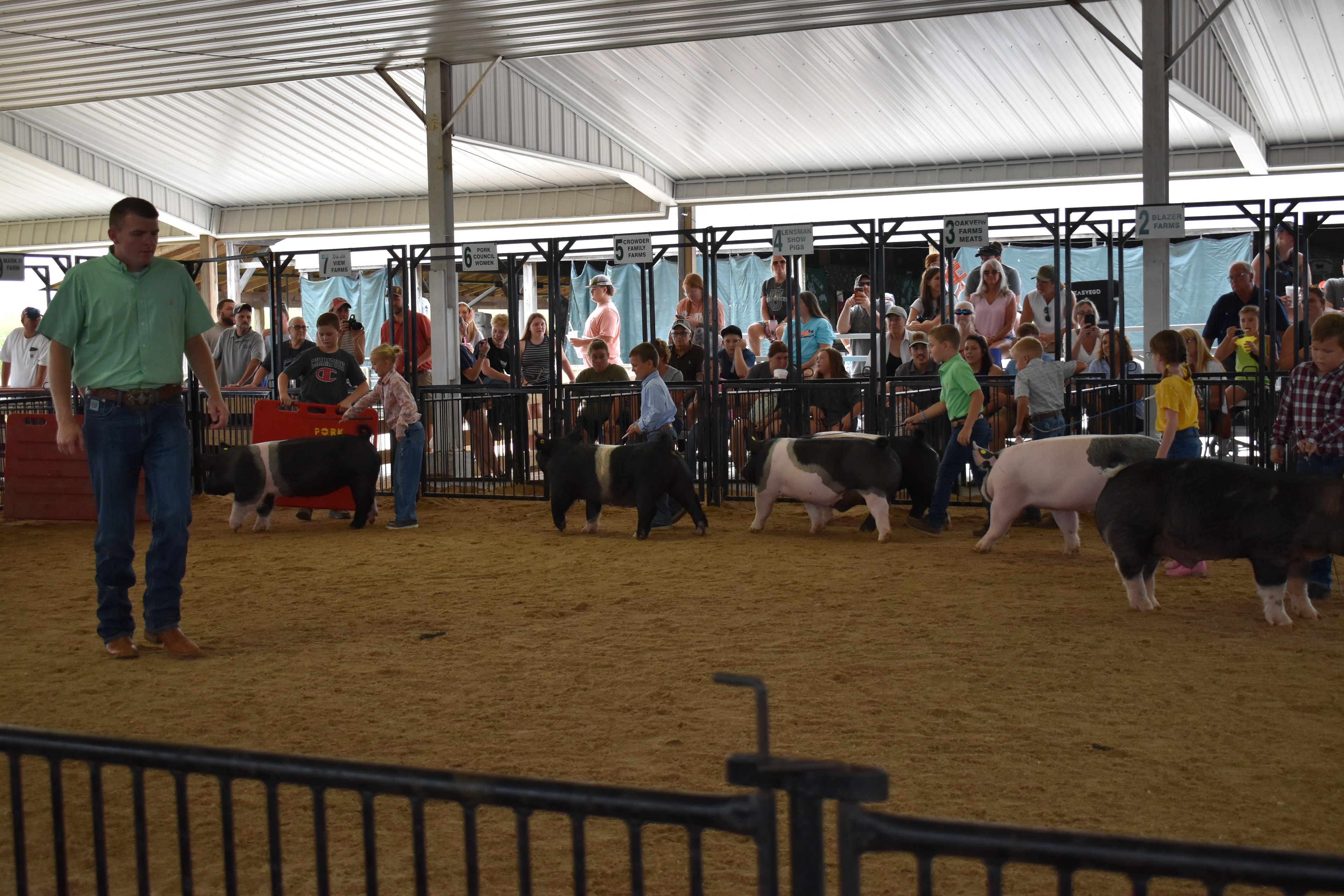 Boy in green shirt and girl in floral shirt jointly steering large black-and-white Hampshire cross pig with girl in pink shirt and red pig at left — Mark IV Farm, J.B.S. United, Da Ja View Farms, Pork Council Women, Lensman Show Pigs sponsor pens behind with packed grandstands