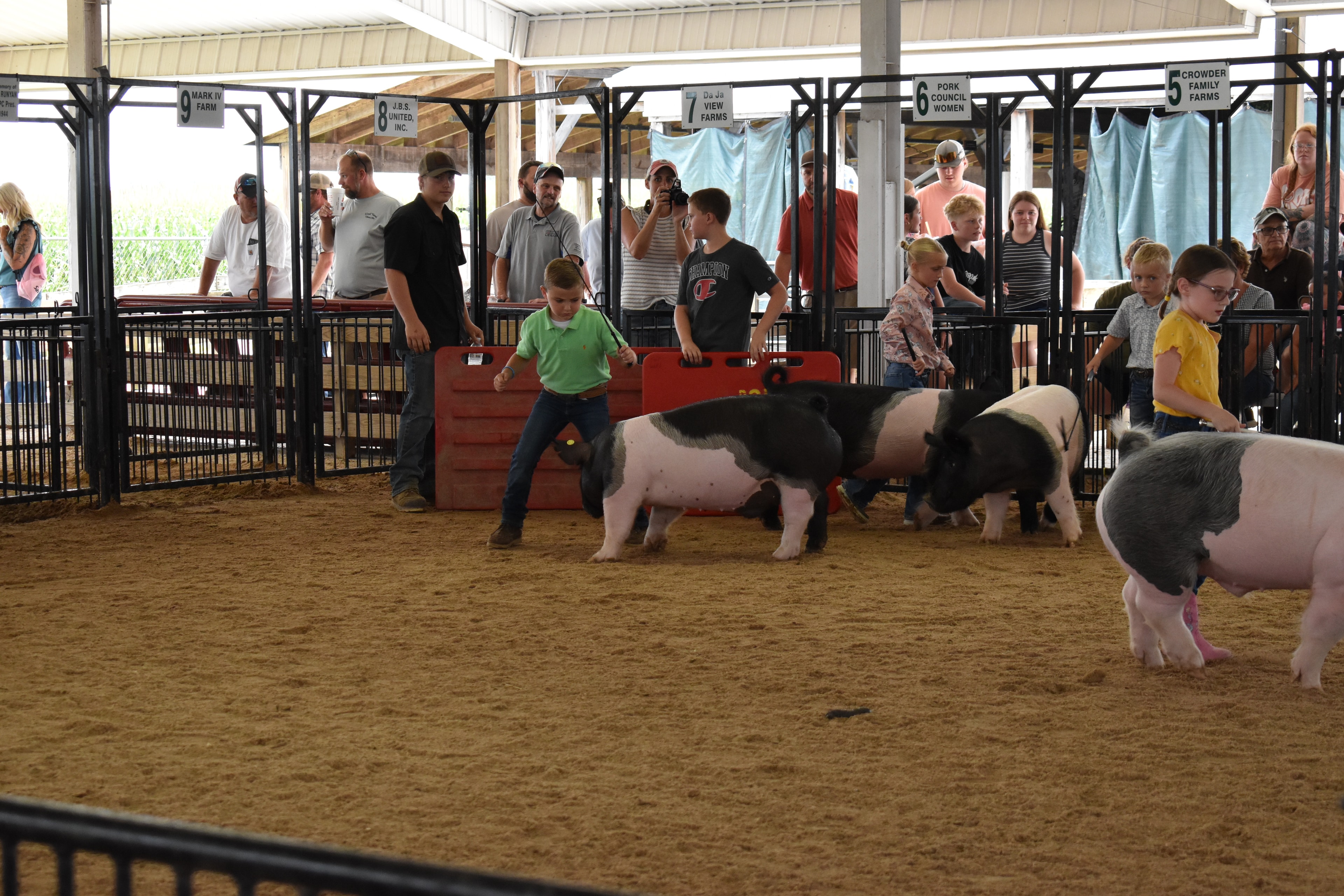 Boy in black cowboy hat and paisley shirt steering large black-and-white Hampshire cross pig with judge in green shirt walking alongside — Mark Sommers memorial pen visible with packed grandstands and Falcons Soccer shirt woman walking behind