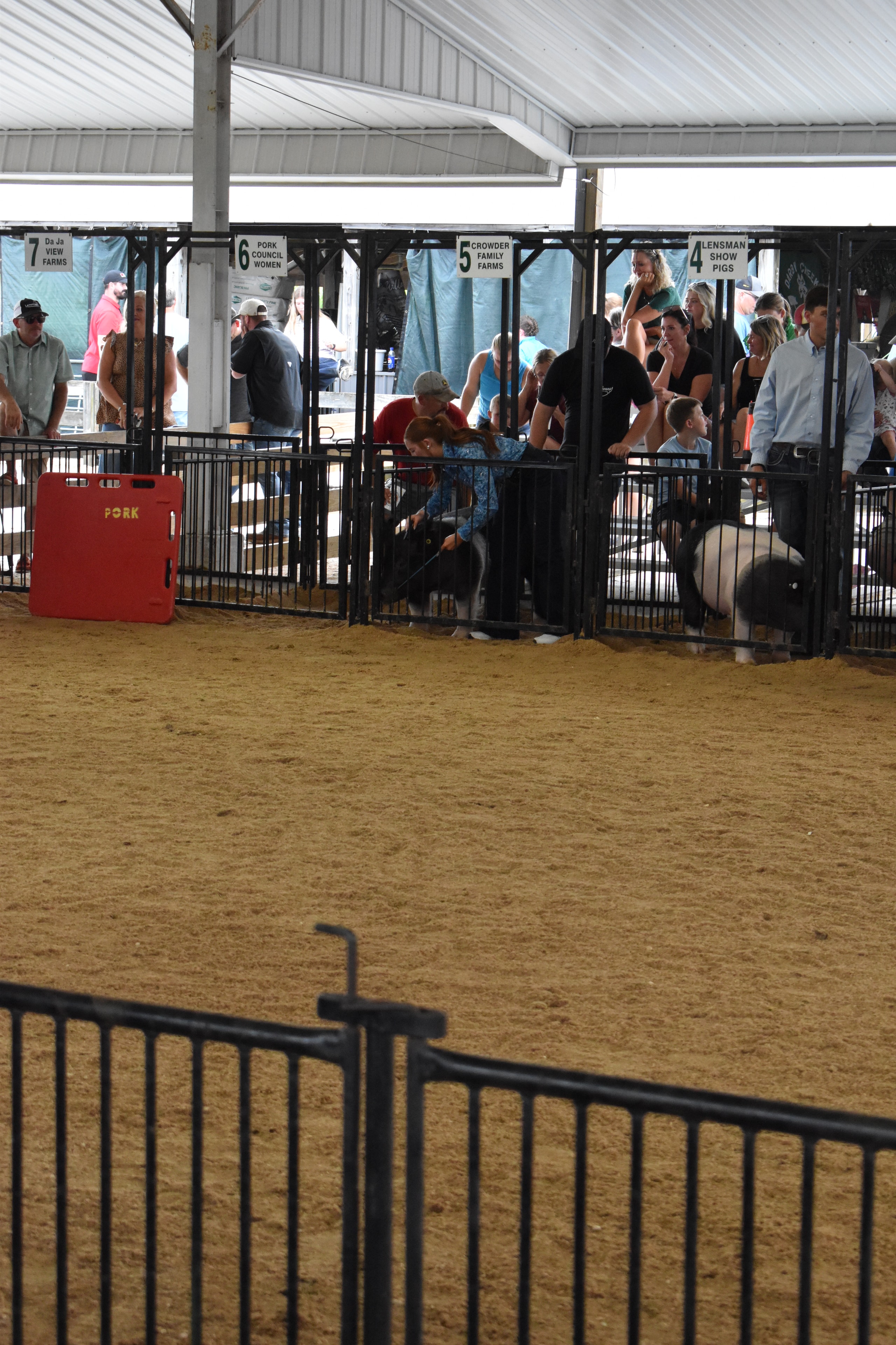 Spectators in sponsor pens watching the show ring from the side at Champaign County Fair