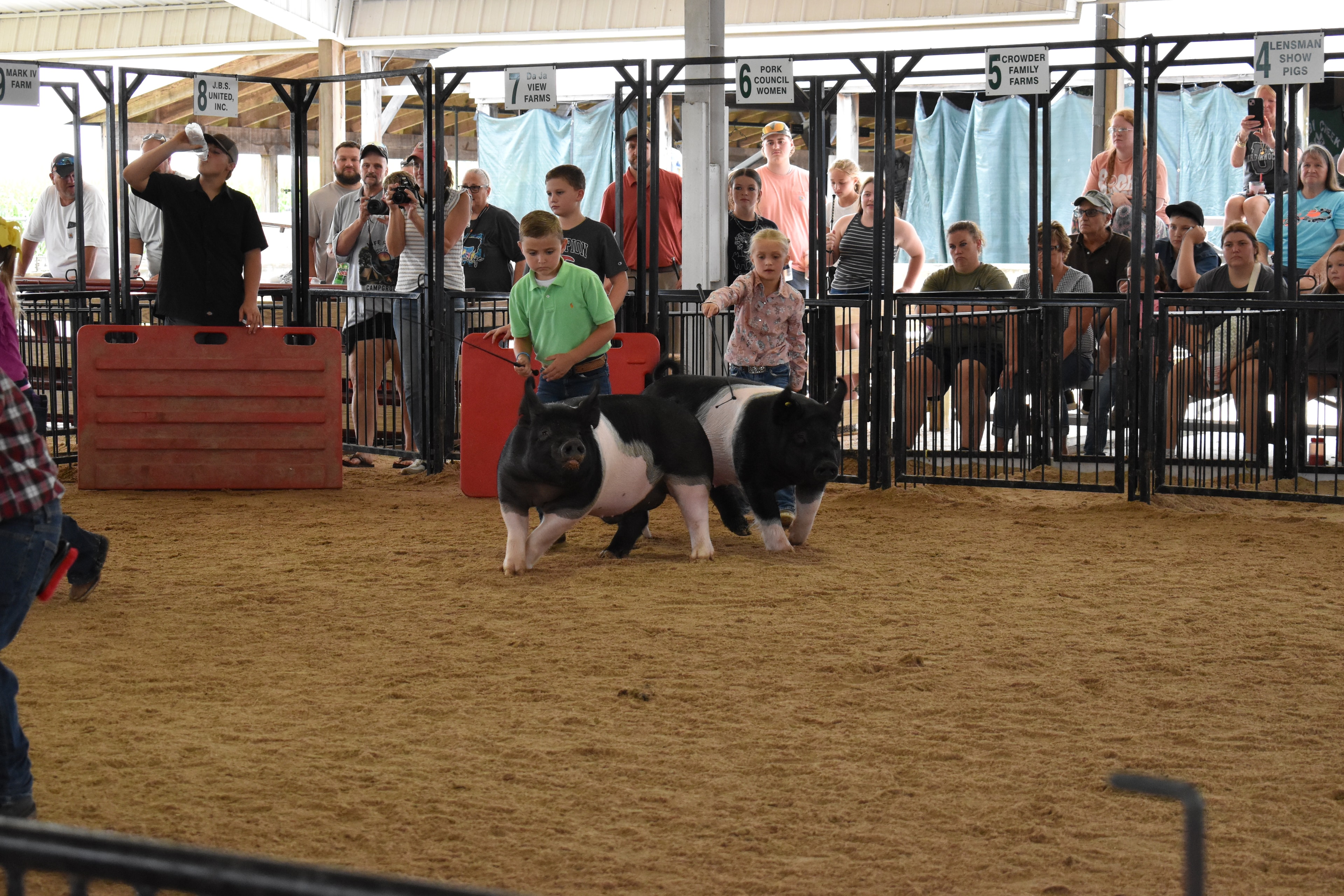 Boy in green polo shirt running alongside Hampshire cross pig with girl in pink floral shirt steering second Hampshire cross pig — judge's arm visible at left, J.B.S. United, Da Ja View Farms, Pork Council Women, Crowder Family Farms sponsor pens behind with packed grandstands
