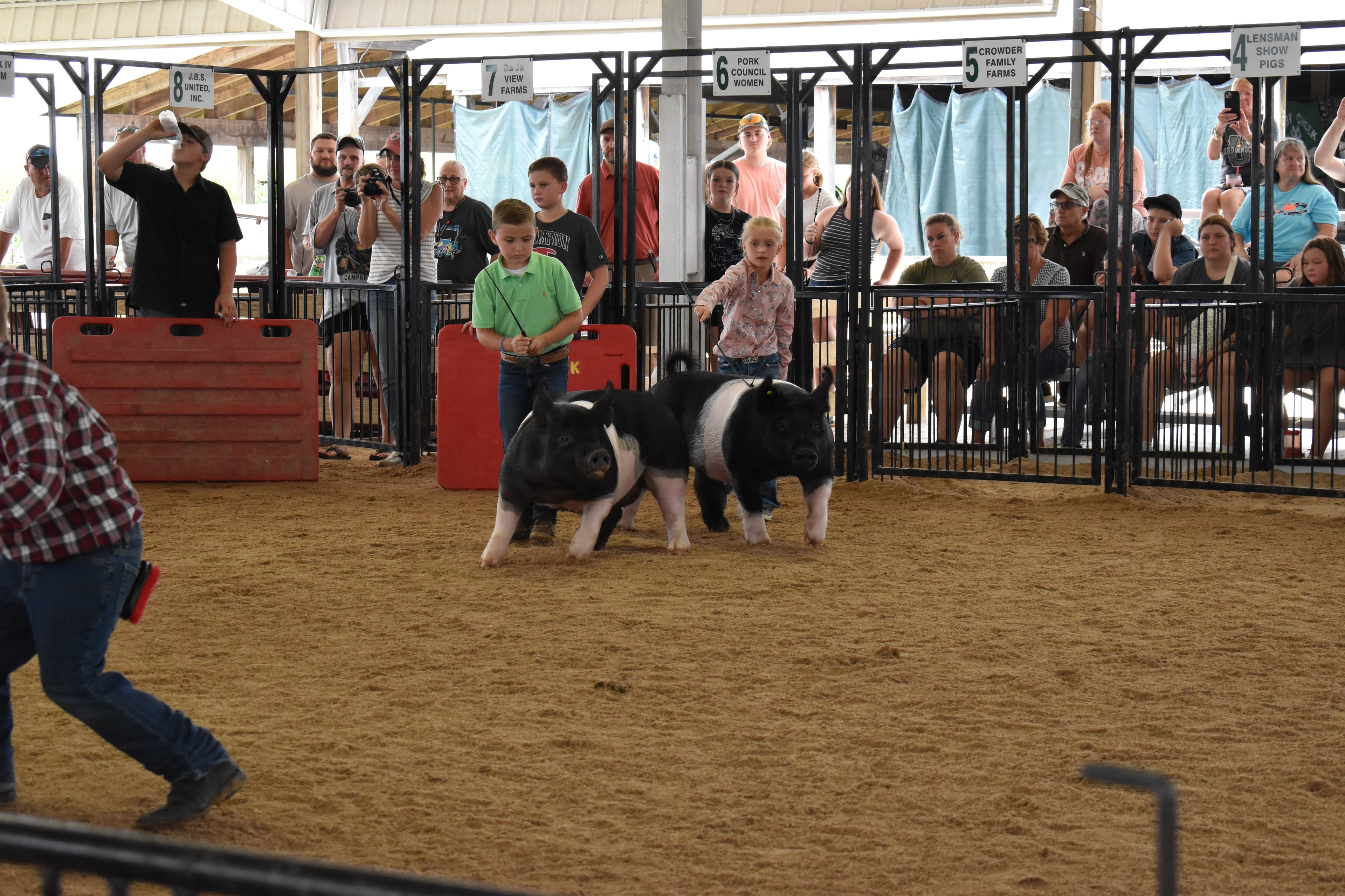 Boy in green polo shirt steering Hampshire cross pig with girl in pink floral shirt and second Hampshire cross pig alongside — judge in green shirt at right foreground, little girl in yellow shirt and pink pig at left, J.B.S. United, Da Ja View Farms, Pork Council Women sponsor pens behind with packed grandstands