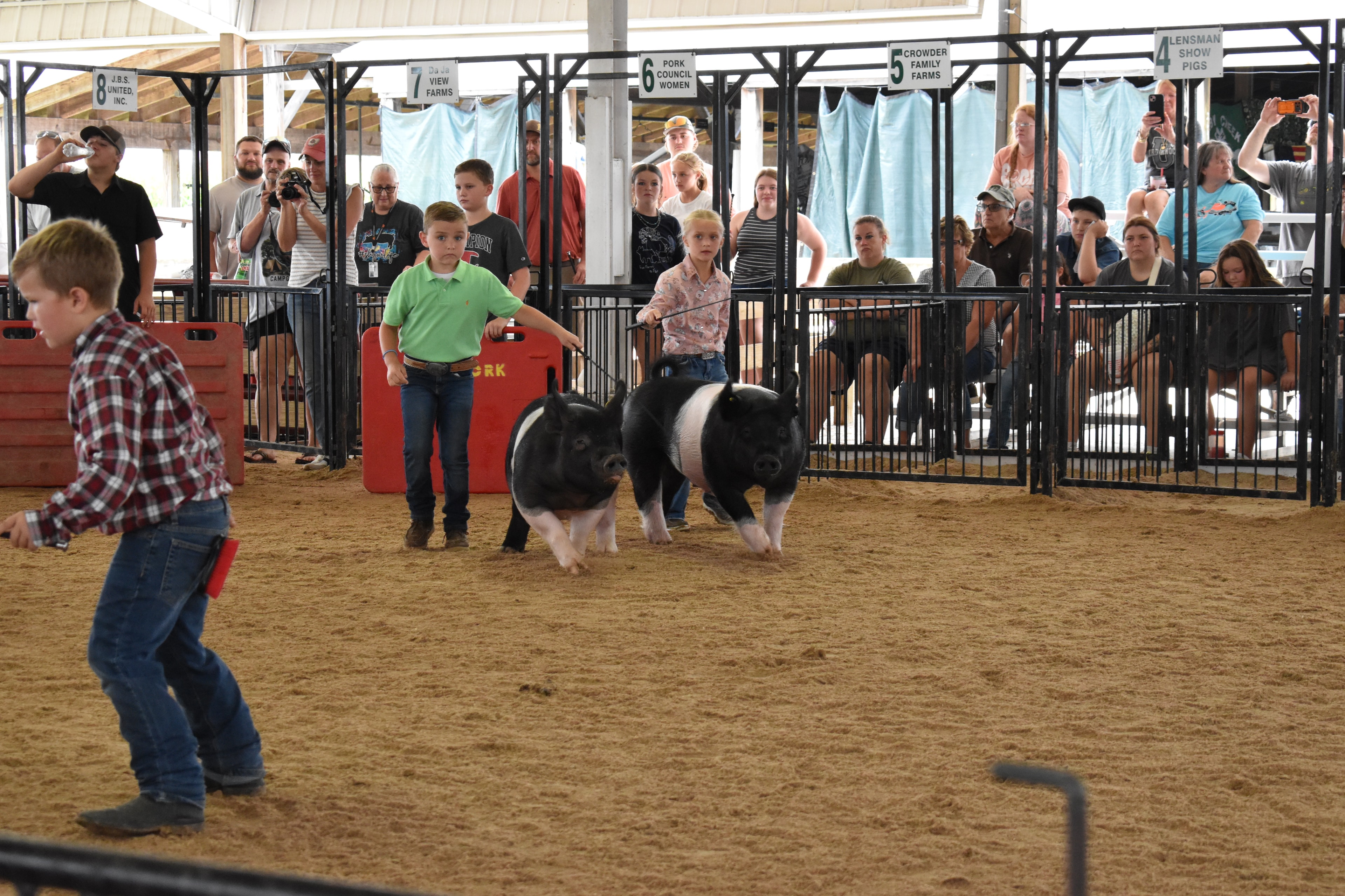 Boy in green polo shirt steering Hampshire cross pig with girl in pink floral shirt and second Hampshire cross pig alongside — judge in green shirt at right foreground, little girl in yellow shirt and pink pig at left, Mark IV Farm, J.B.S. United, Da Ja View Farms, Pork Council Women sponsor pens behind with packed grandstands
