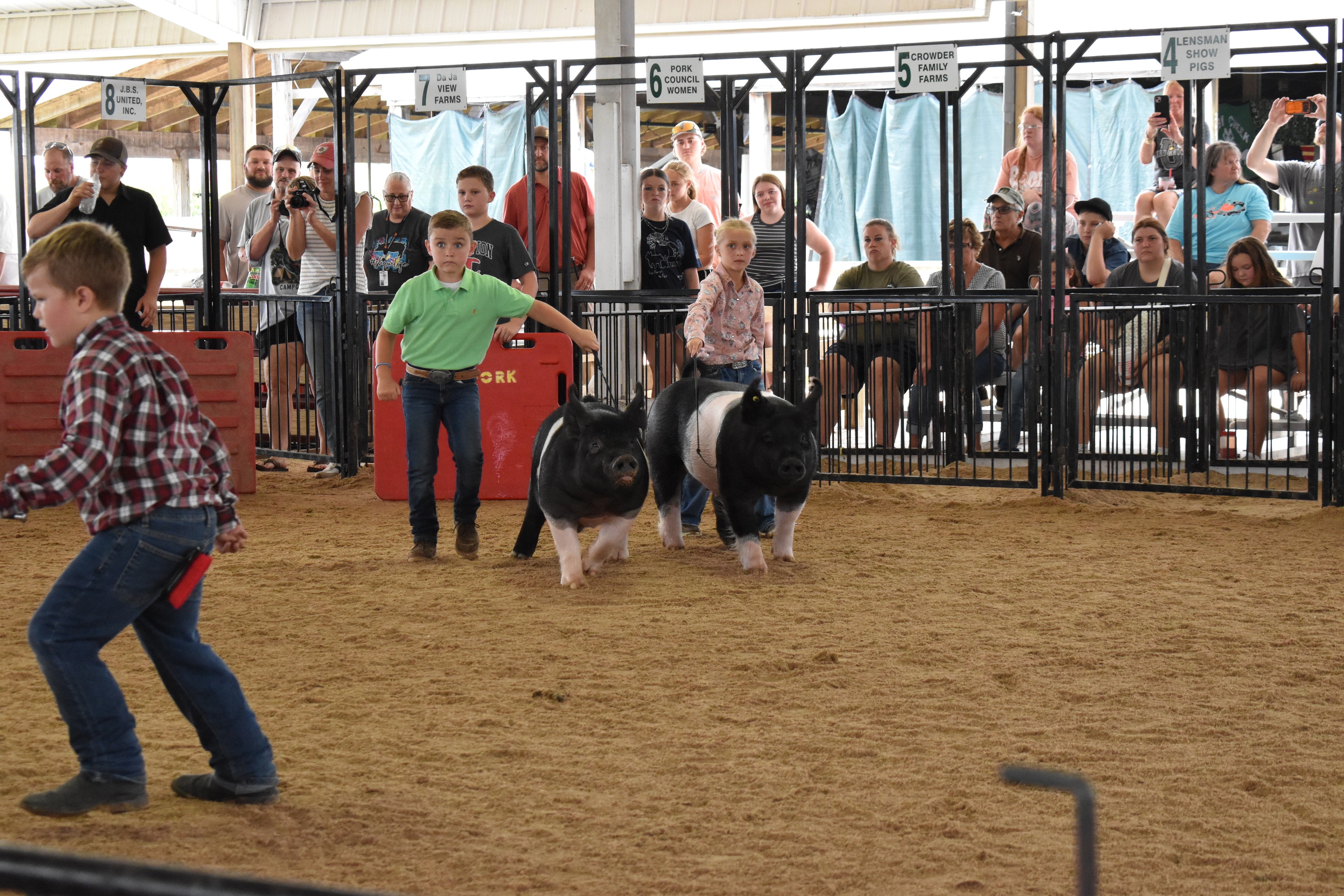 Boy in green polo shirt and girl in pink floral shirt steering two Hampshire cross pigs side by side — Da Ja View Farms, Pork Council Women, Crowder Family Farms, Lensman Show Pigs sponsor pens behind with packed grandstands and boy in plaid shirt at left foreground