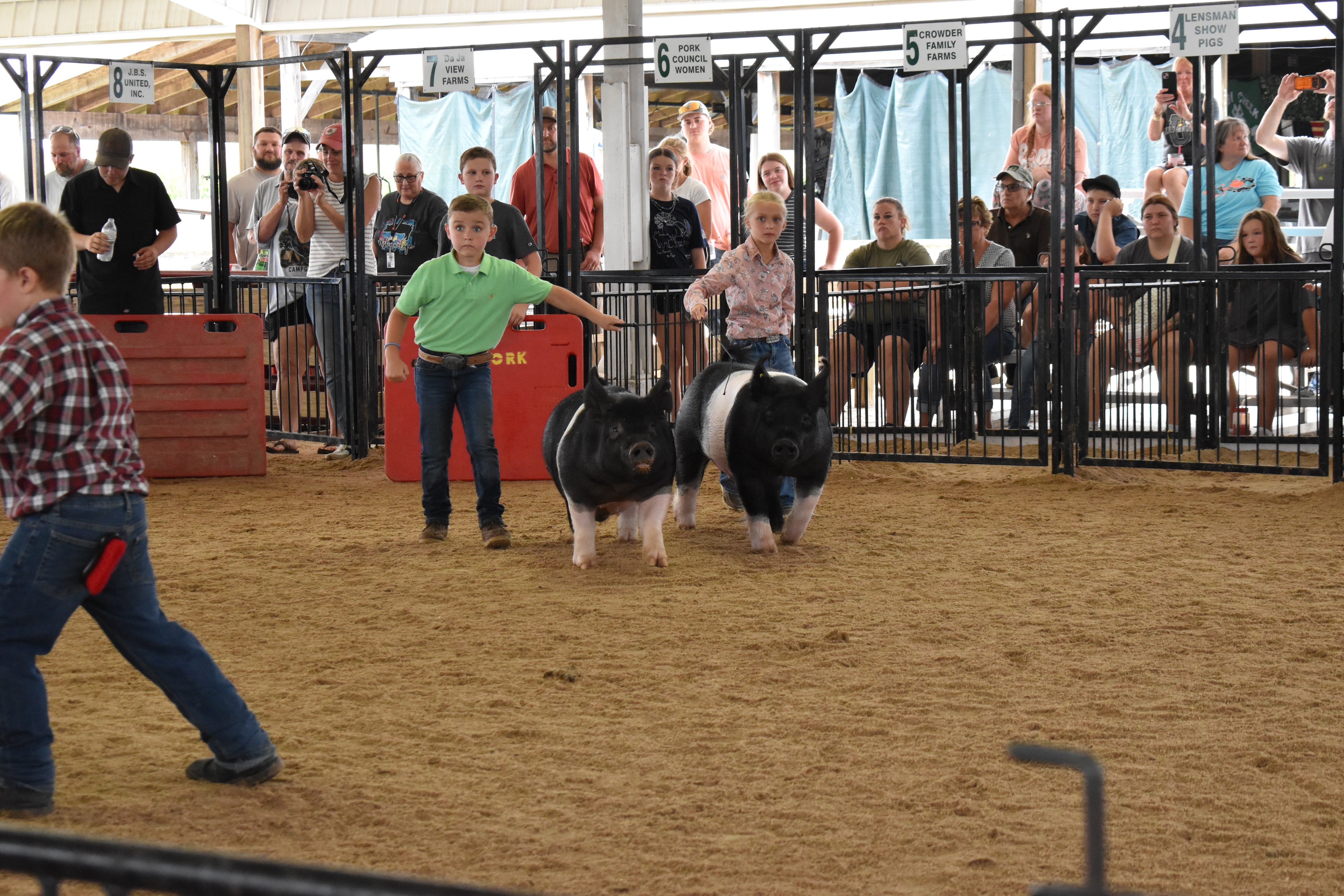 Boy in green polo shirt and girl in pink floral shirt steering two Hampshire cross pigs side by side toward the judge — J.B.S. United, Da Ja View Farms, Pork Council Women, Crowder Family Farms, Lensman Show Pigs sponsor pens behind with packed grandstands and boy in plaid shirt at left foreground
