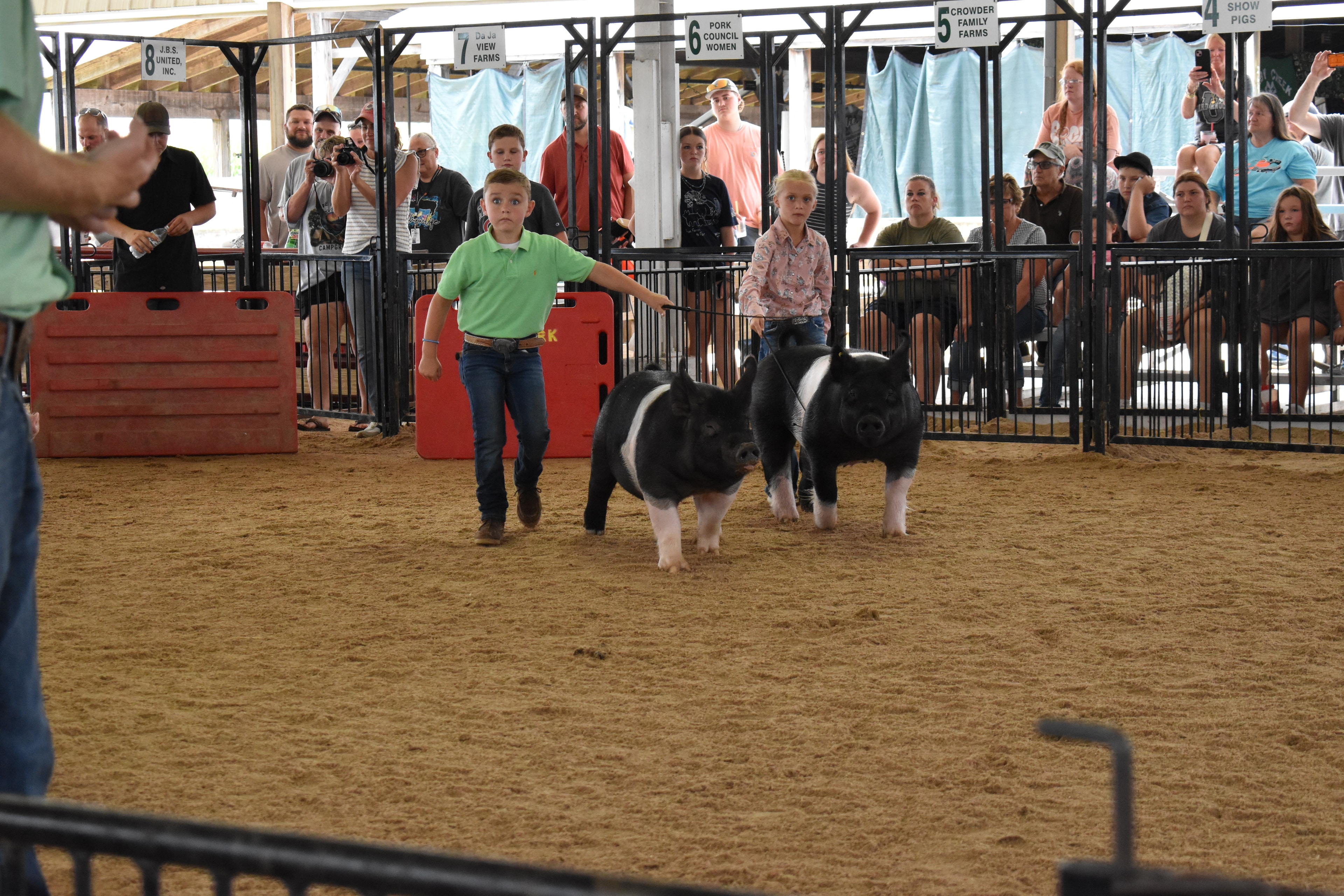 Boy in green polo shirt and girl in pink floral shirt steering two Hampshire cross pigs side by side — J.B.S. United, Da Ja View Farms, Pork Council Women, Crowder Family Farms, Lensman Show Pigs sponsor pens behind with packed grandstands and boy in plaid shirt at left foreground