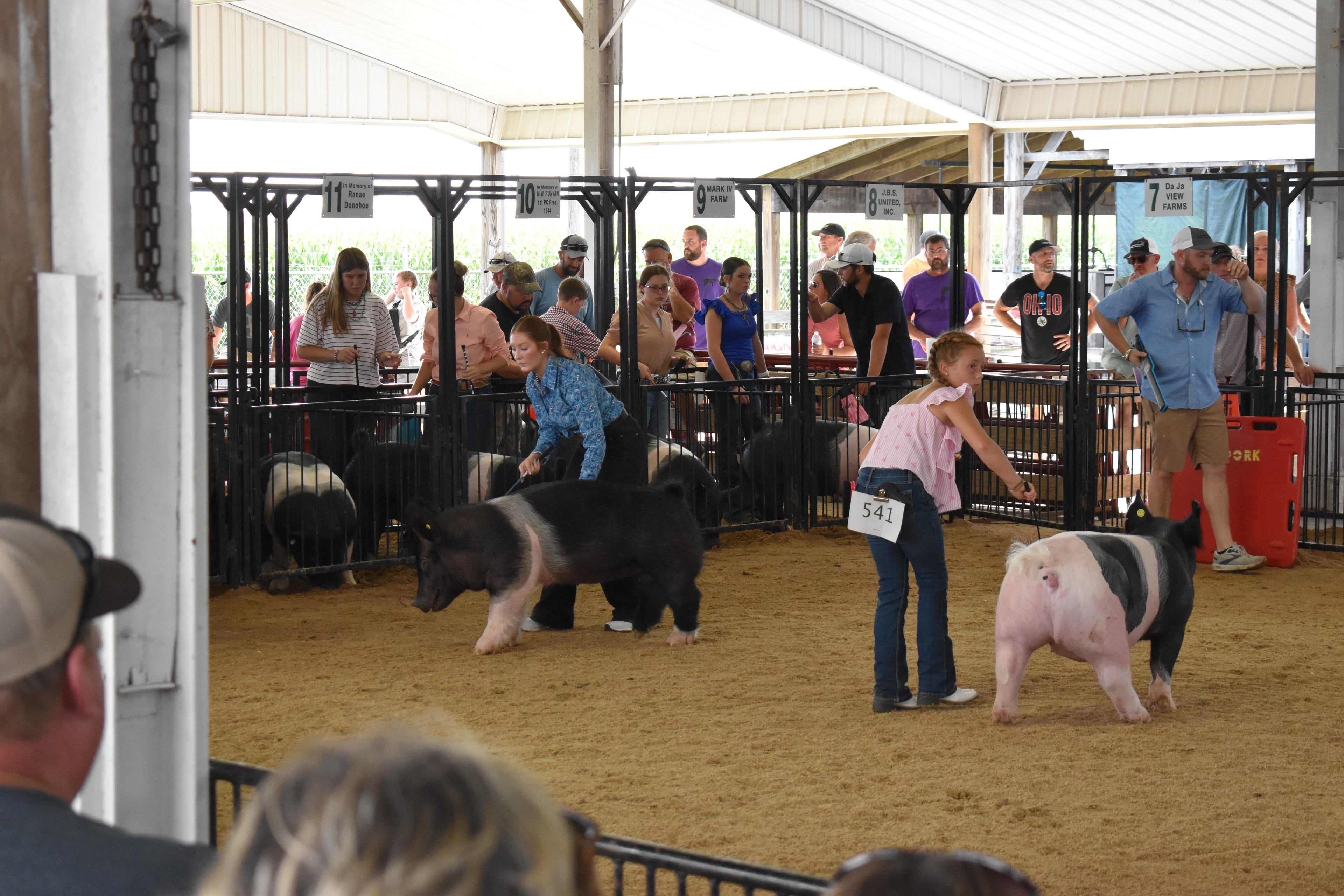 Spectators in numbered sponsor pens watching the empty show ring at Champaign County Fair