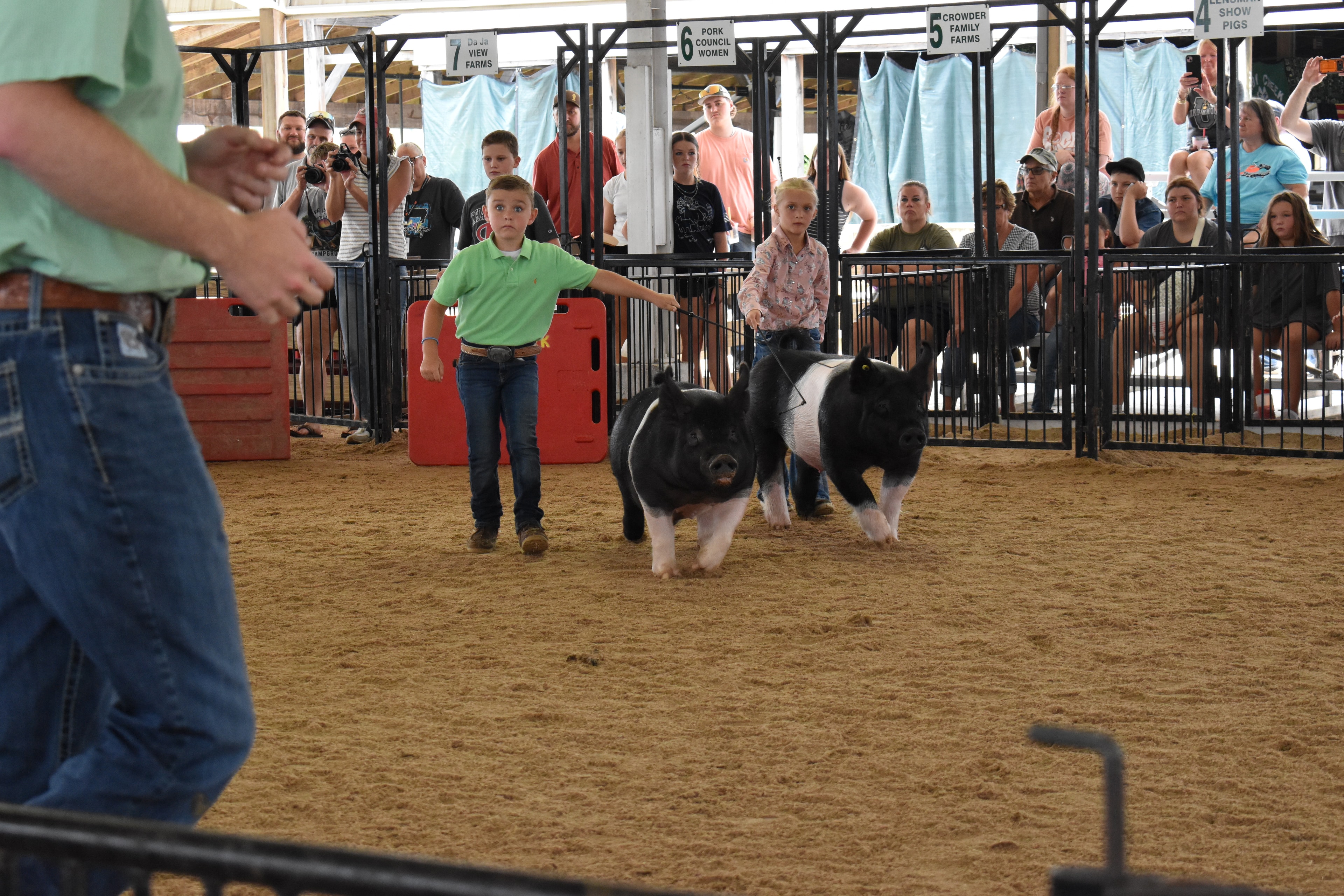 Boy in green polo shirt and girl in pink floral shirt steering two Hampshire cross pigs side by side — J.B.S. United, Da Ja View Farms, Pork Council Women, Crowder Family Farms, Lensman Show Pigs sponsor pens behind with packed grandstands and boy in plaid shirt at left foreground