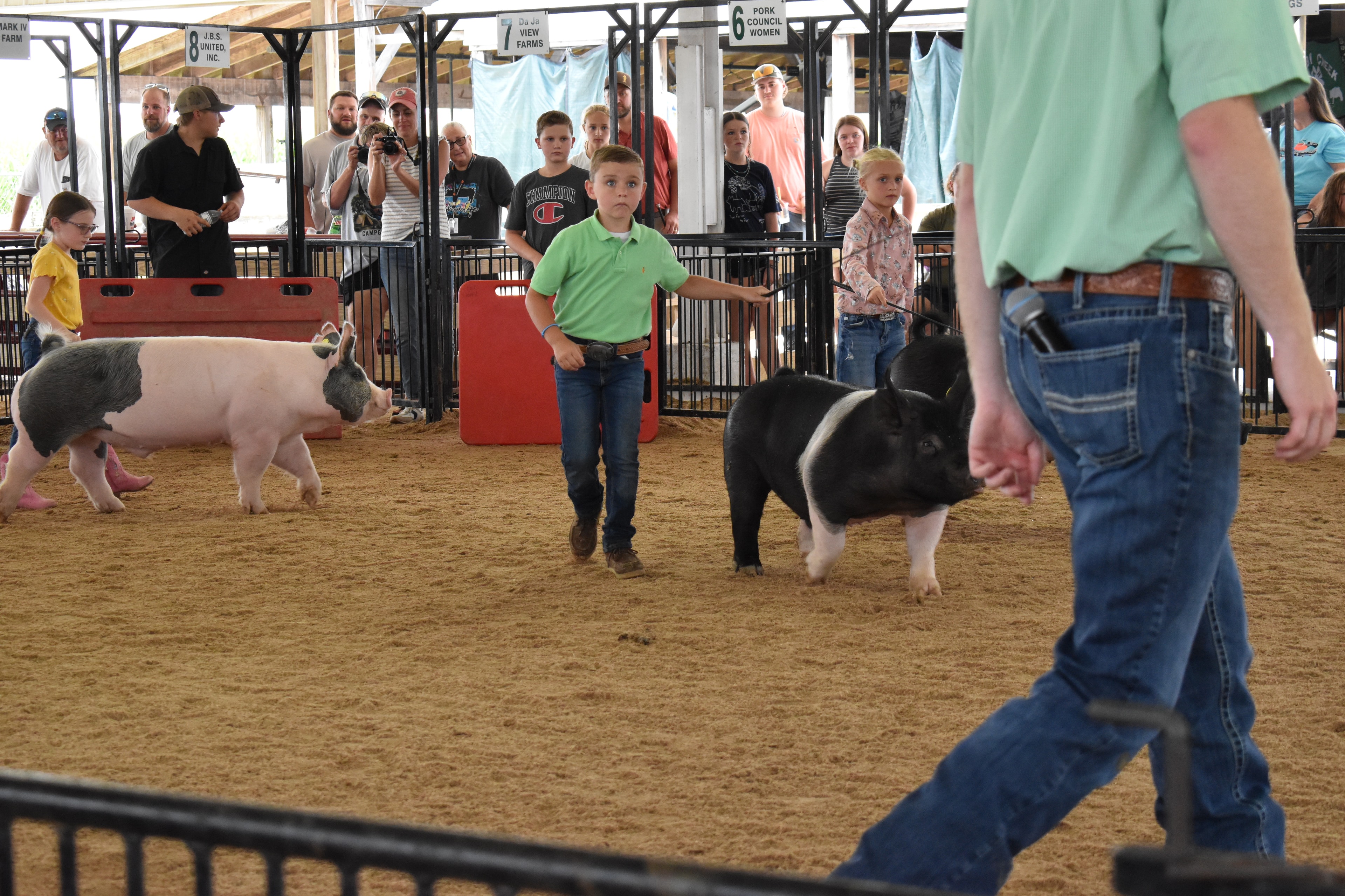 Boy in green polo shirt and girl in pink floral shirt steering two Hampshire cross pigs side by side — Mark IV Farm, J.B.S. United, Da Ja View Farms, Pork Council Women, Crowder Family Farms, Lensman Show Pigs sponsor pens behind with packed grandstands and boy in plaid shirt at left foreground