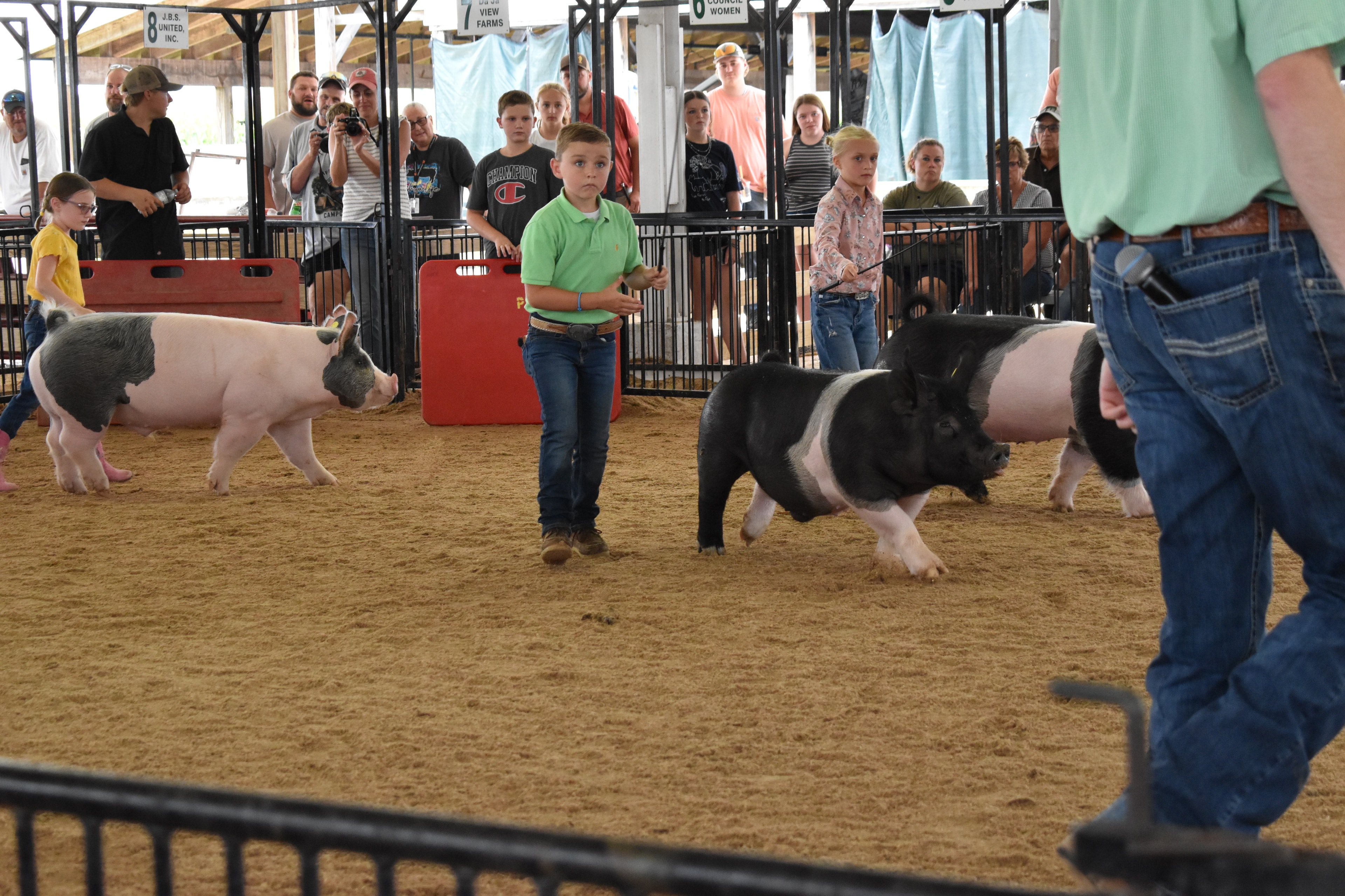 Boy in green polo shirt and girl in pink floral shirt steering two Hampshire cross pigs side by side — Mark IV Farm, J.B.S. United, Da Ja View Farms, Pork Council Women, Crowder Family Farms, Lensman Show Pigs sponsor pens behind with packed grandstands and boy in plaid shirt at left foreground