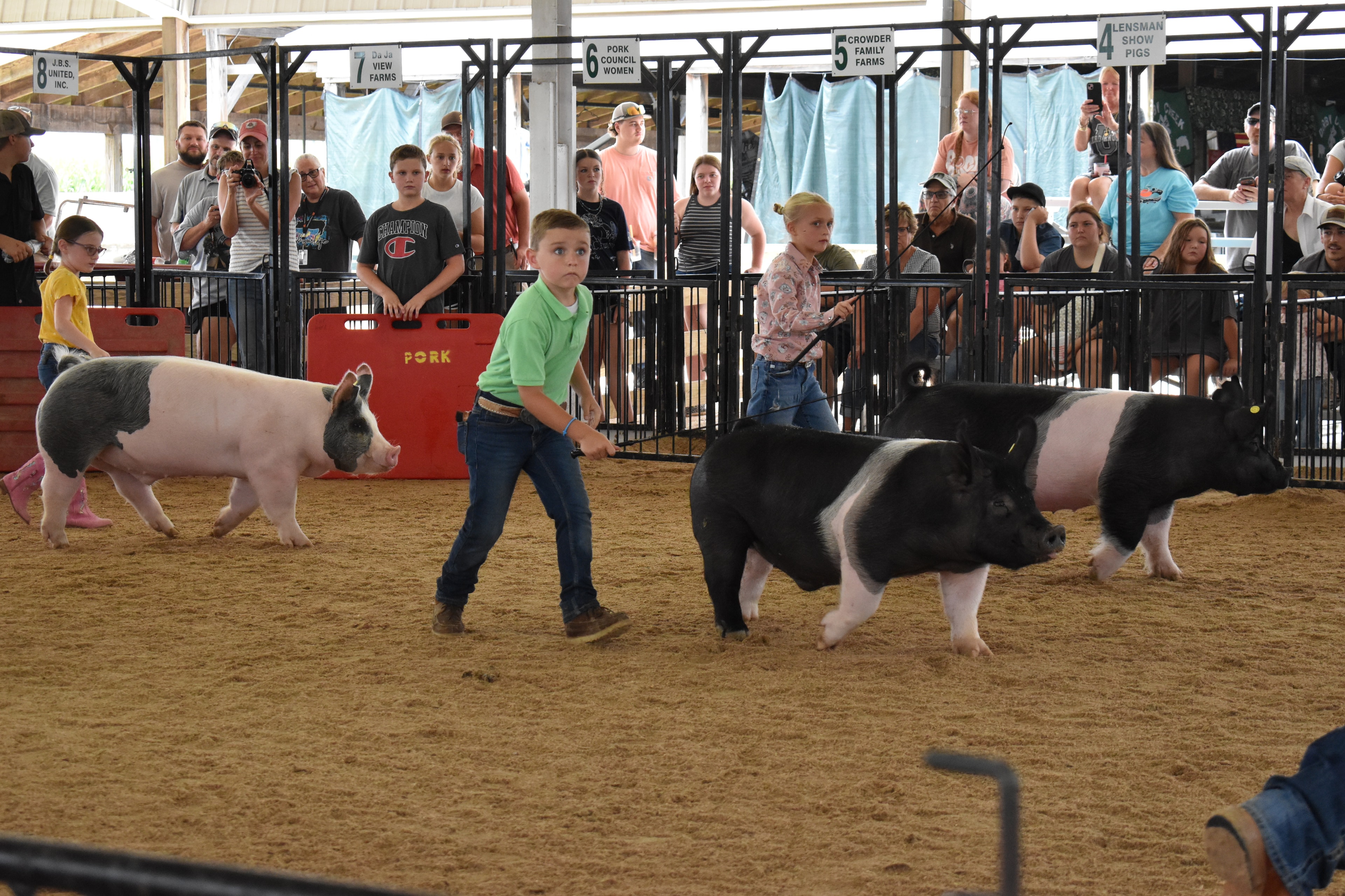 Boy in green polo shirt steering large black-and-white Hampshire cross pig with girl in magenta ruffled shirt steering red Duroc pig at left — Mark IV Farm, J.B.S. United, Da Ja View Farms, Pork Council Women, Crowder Family Farms sponsor pens behind with packed grandstands and photographers