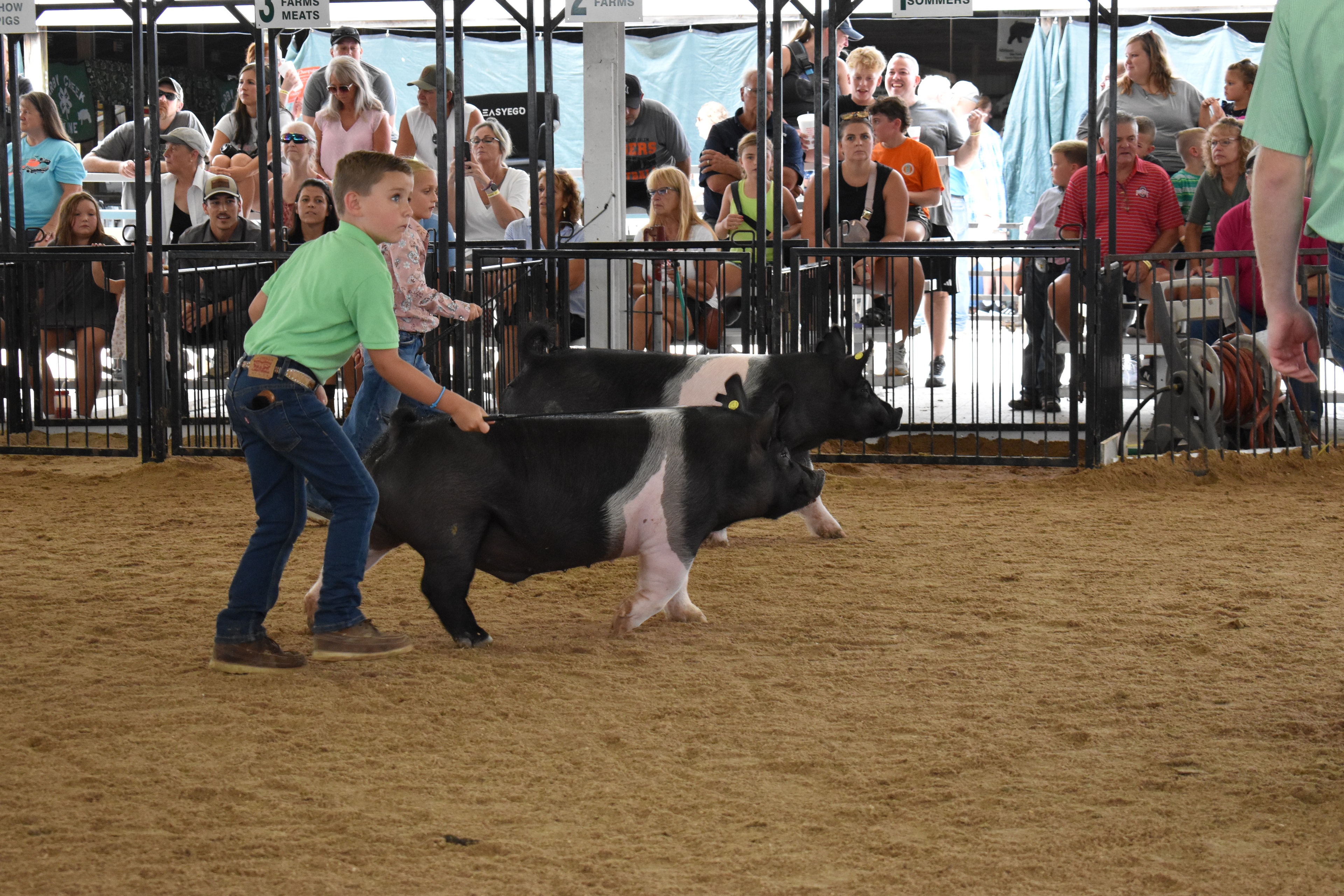 Boy in green polo shirt steering large black-and-white Hampshire cross pig with girl in pink floral shirt behind — J.B.S. United, Da Ja View Farms, Pork Council Women, Family Farms sponsor pens behind with packed grandstands and photographers