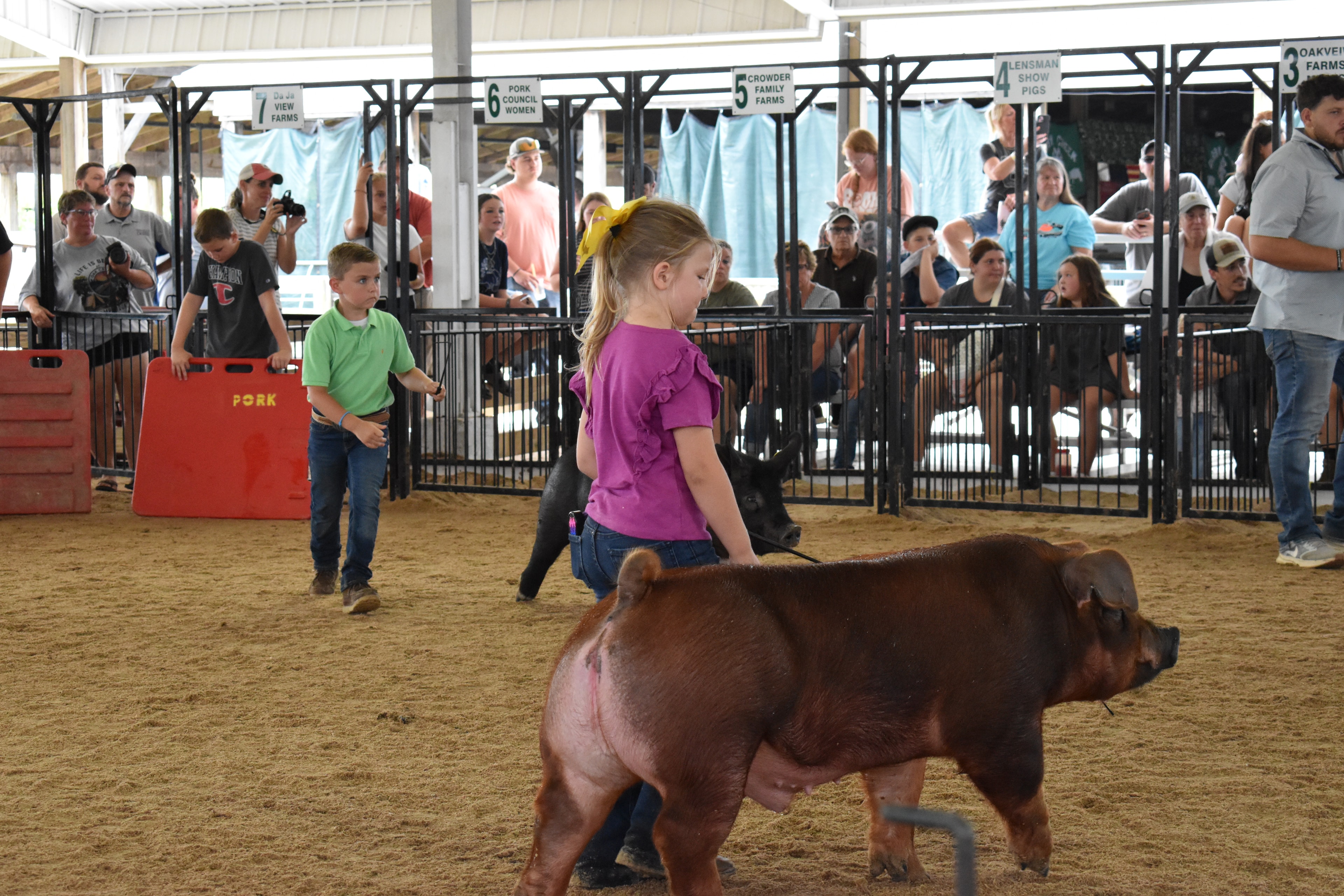 Boy in green polo shirt steering large black-and-white Hampshire cross pig with girl in pink floral shirt behind — J.B.S. United, Da Ja View Farms, Pork Council Women, Crowder Family Farms, Lensman Show Pigs sponsor pens behind with packed grandstands and photographers