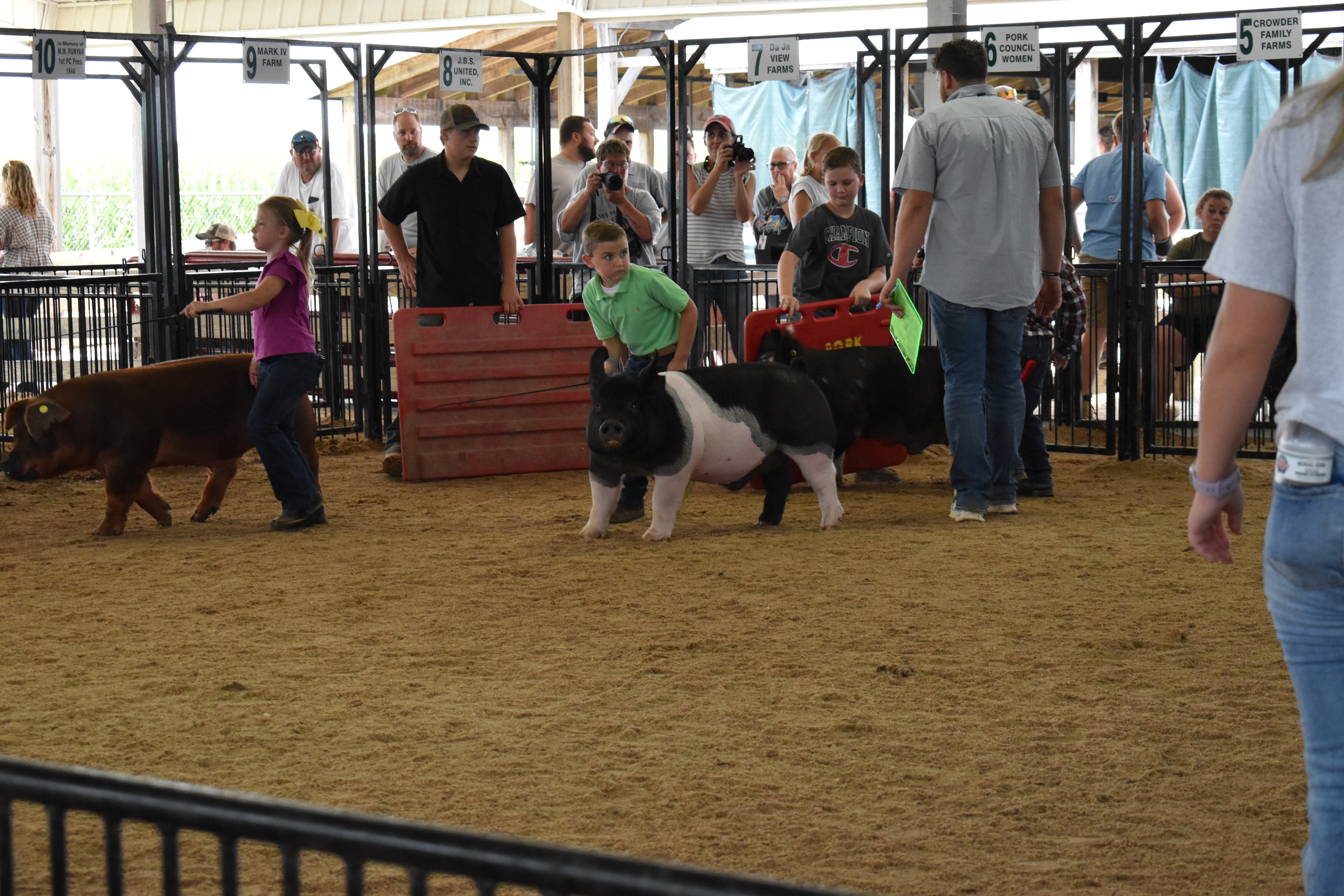 Boy in green polo shirt steering large black-and-white Hampshire cross pig with girl in pink floral shirt behind — J.B.S. United, Da Ja View Farms, Pork Council Women, Crowder Family Farms, Lensman Show Pigs sponsor pens behind with packed grandstands and photographers