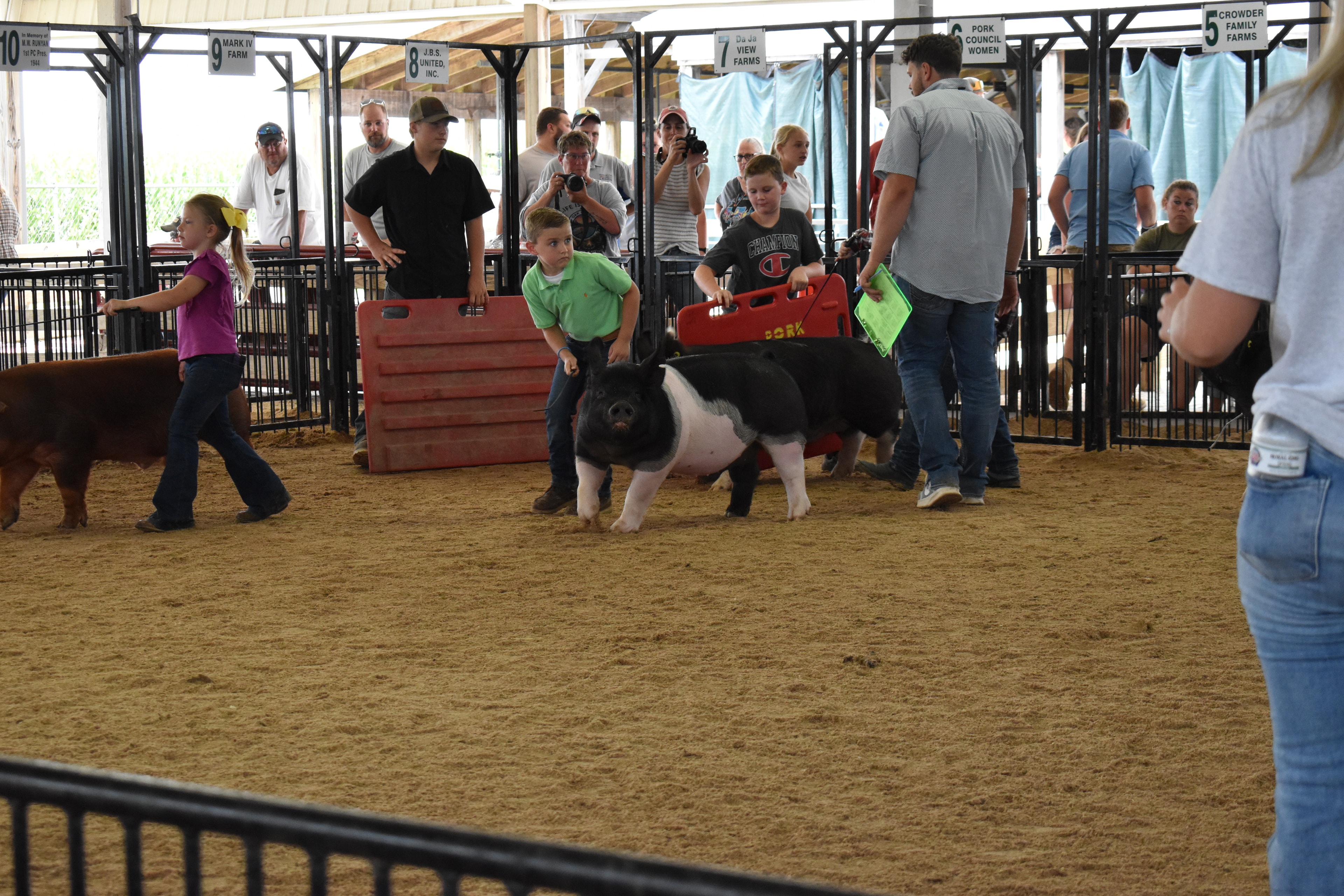 Wide arena shot with boy in green polo shirt and girl in pink floral shirt steering large black-and-white Hampshire cross pig together — girl in magenta ruffled shirt with red Duroc pig at left, packed grandstands with spectators watching