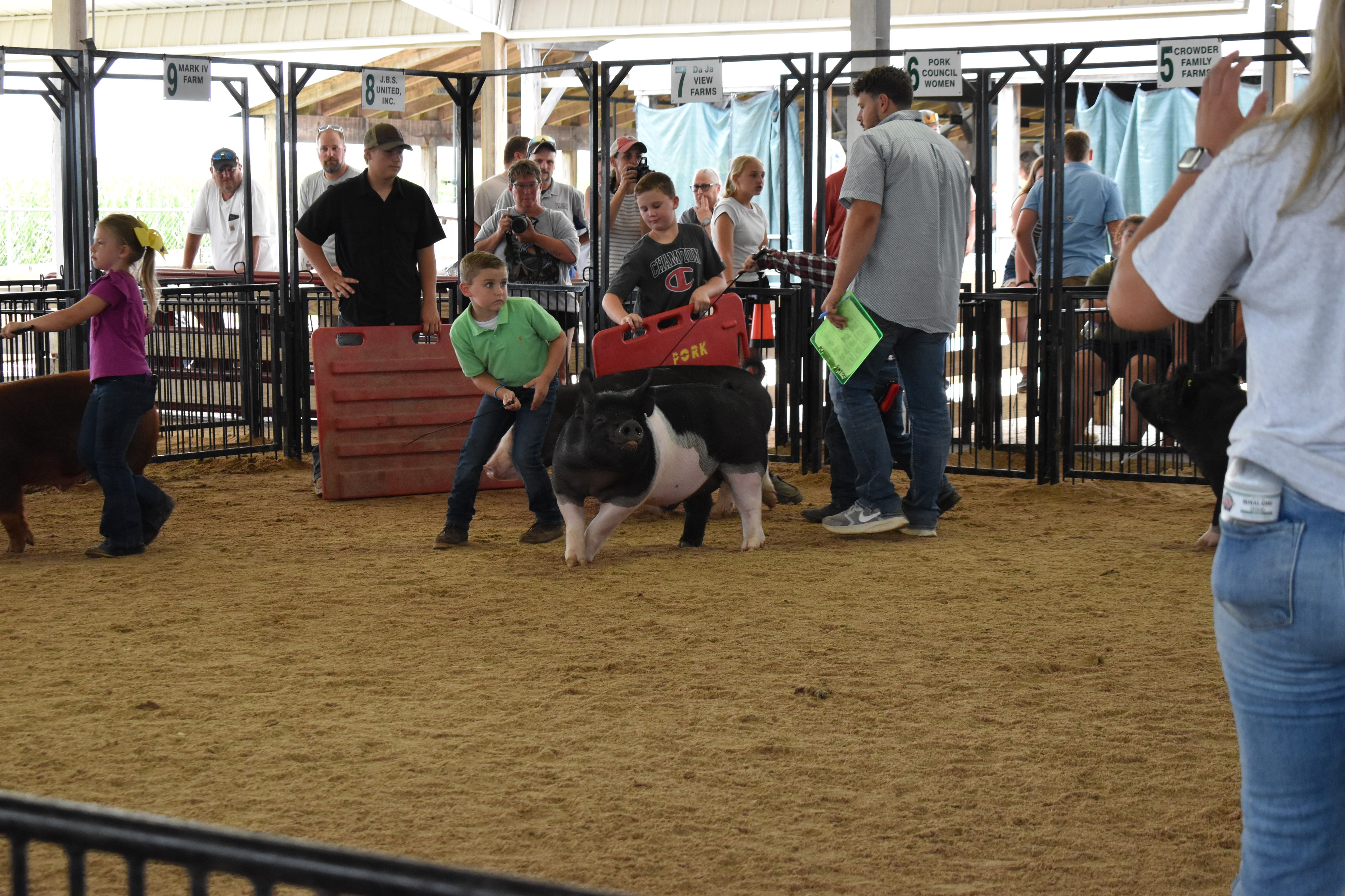 Boy in green polo shirt steering large black-and-white Hampshire cross pig solo in the arena — packed grandstands with spectators watching behind the rail fence, Sommers sign visible above