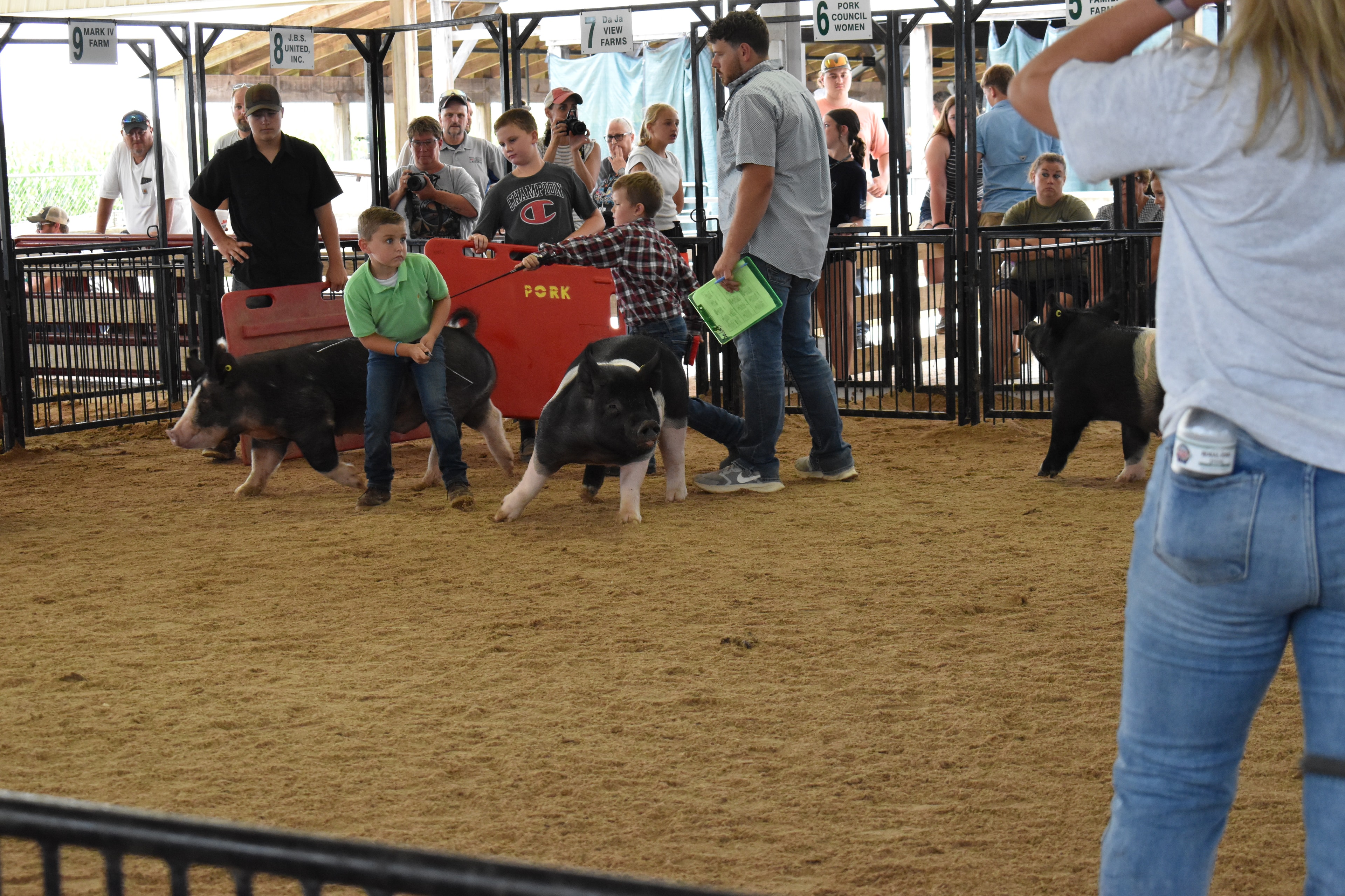 Boy in green polo shirt steering large black-and-white Hampshire cross pig with second smaller boy in white shirt walking alongside — packed grandstands with spectators watching behind the rail fence