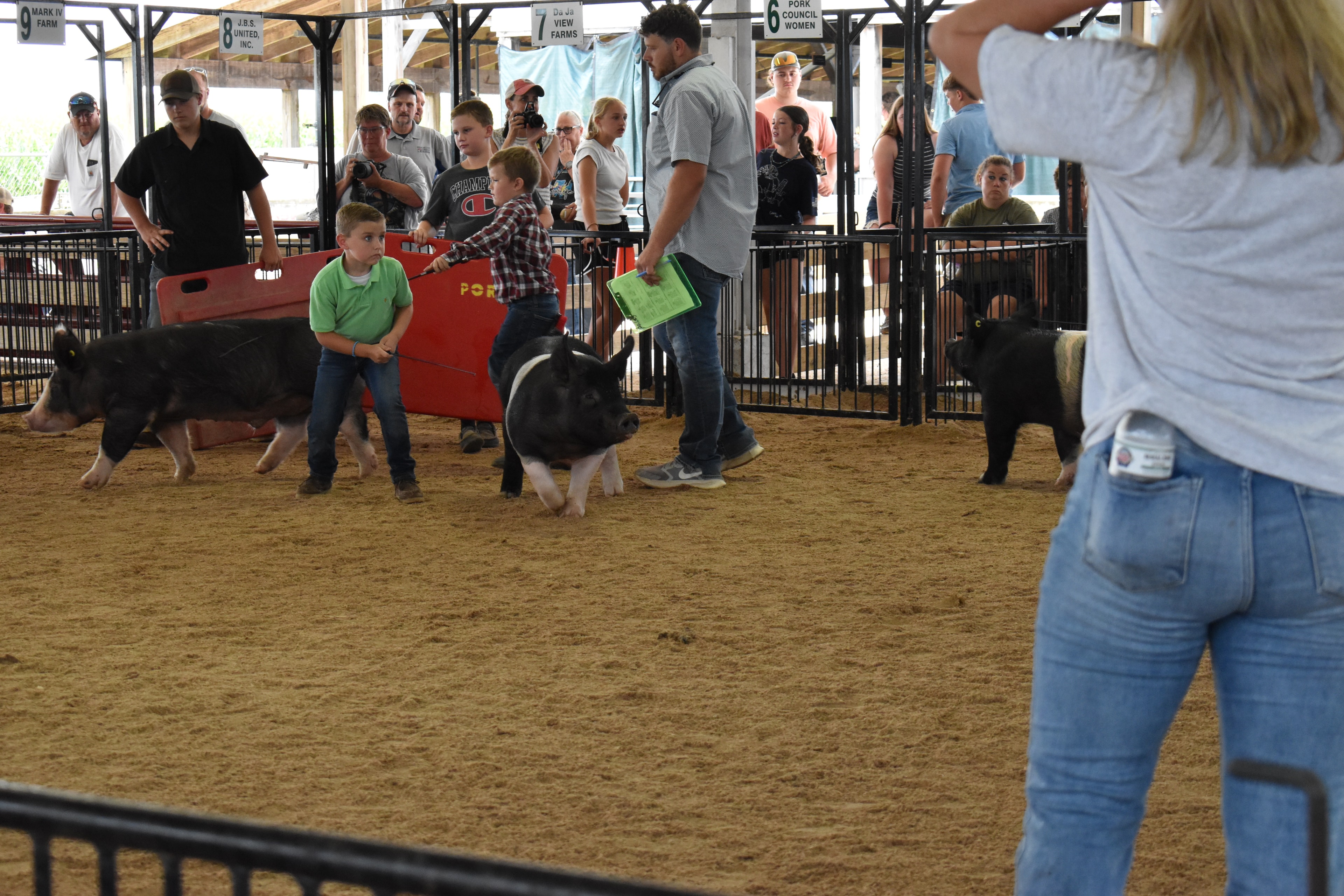 Wide arena shot with judge in green shirt and boy in green polo steering Hampshire cross pig — boy in Champion shirt holding red PORK board, girl in yellow shirt with spotted pig at right, Mark IV Farm, J.B.S. United, Da Ja View Farms, Pork Council Women, Crowder Family Farms sponsor pens behind with spectators