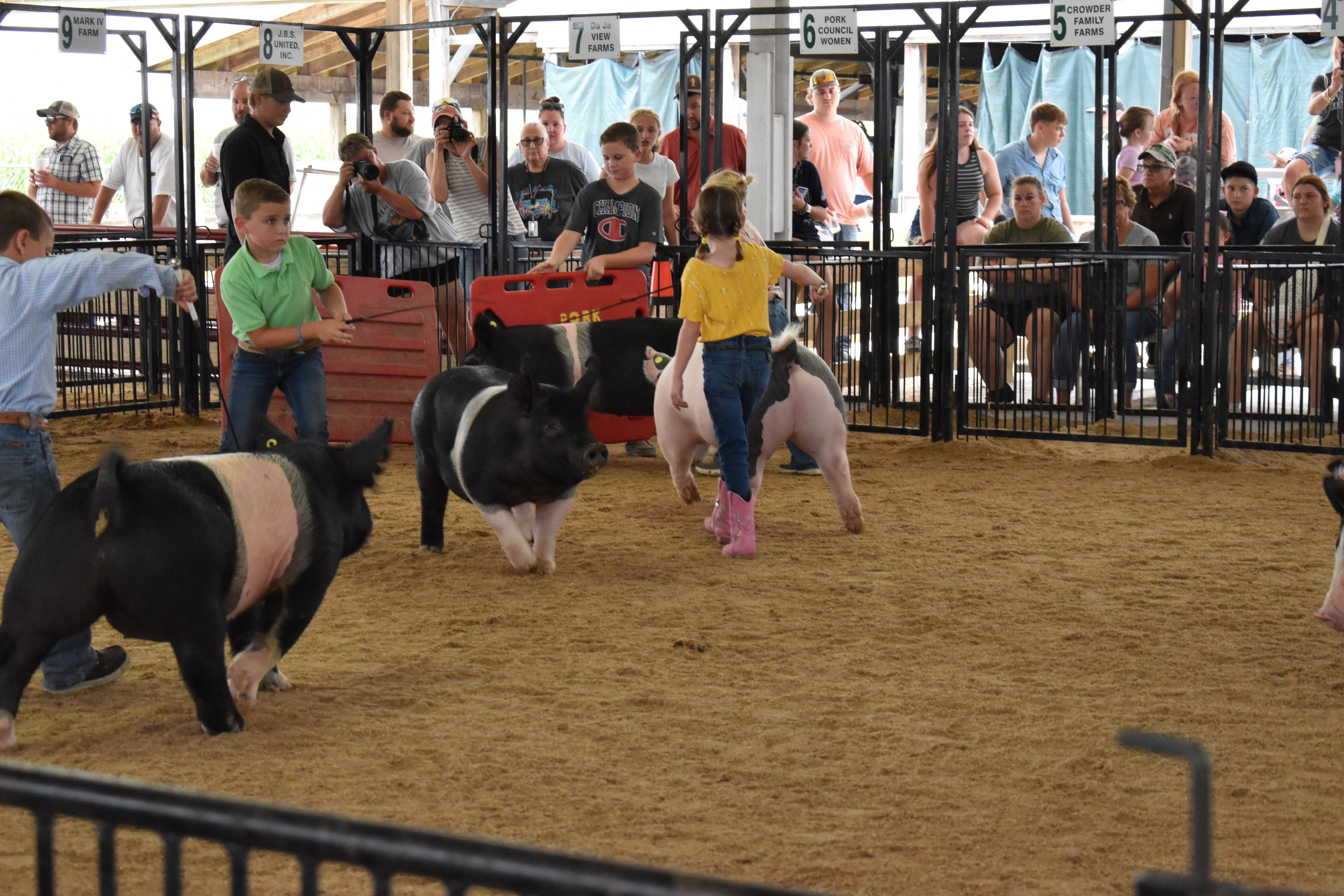 Wide arena shot with judge in green shirt and boy in green polo steering Hampshire cross pig — boy in Champion shirt holding red PORK board, girl in yellow shirt with spotted pig at right, Mark IV Farm, J.B.S. United, Da Ja View Farms, Pork Council Women, Crowder Family Farms sponsor pens behind with spectators