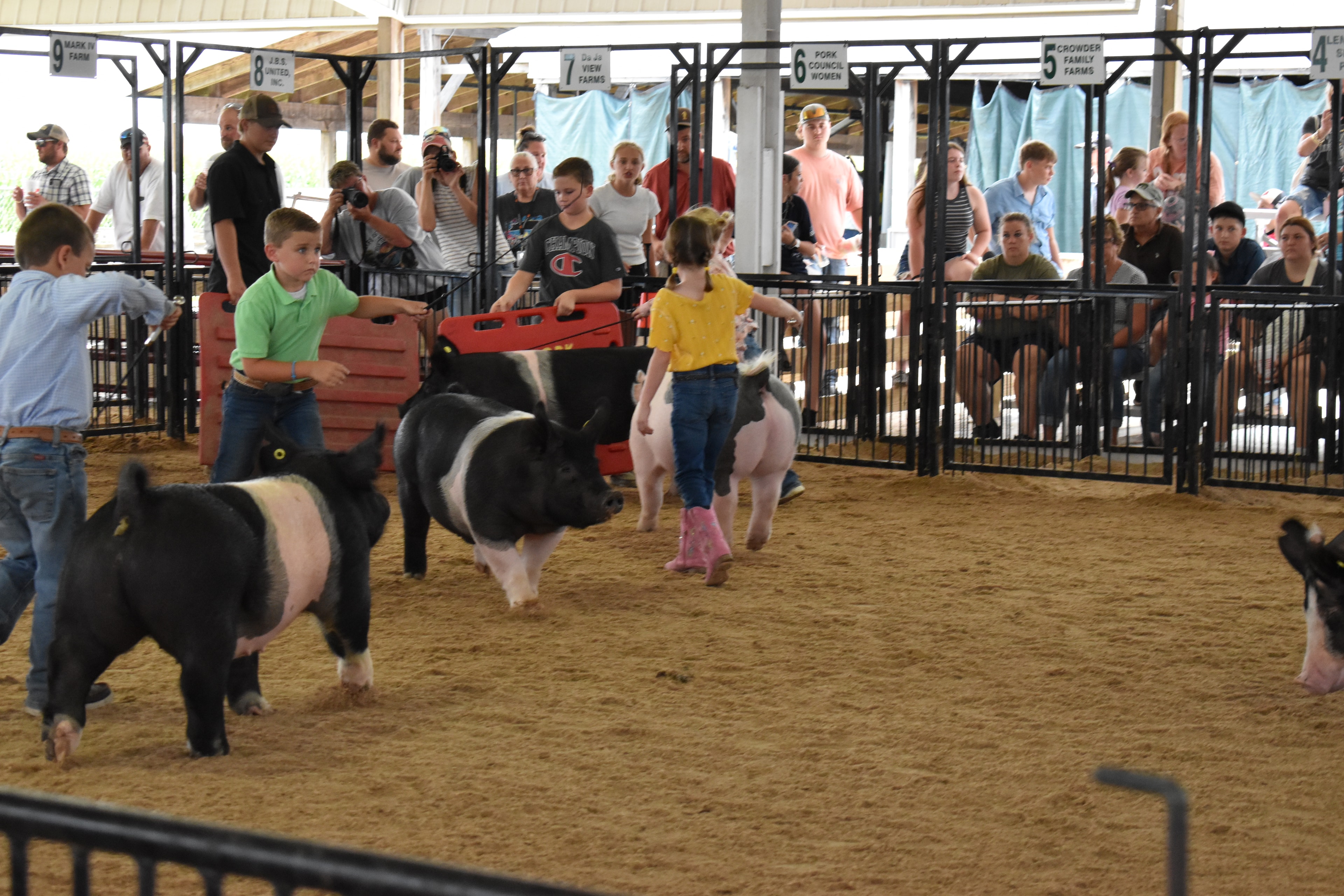 Wide arena shot with judge in green shirt and boy in green polo steering Hampshire cross pig — boy in Champion shirt holding red PORK board, girl in yellow shirt with spotted pig at right, Pork Council Women, Crowder Family Farms, Lensman Show Pigs, Oakview Farms Meats, Blazer Farms sponsor pens behind with spectators