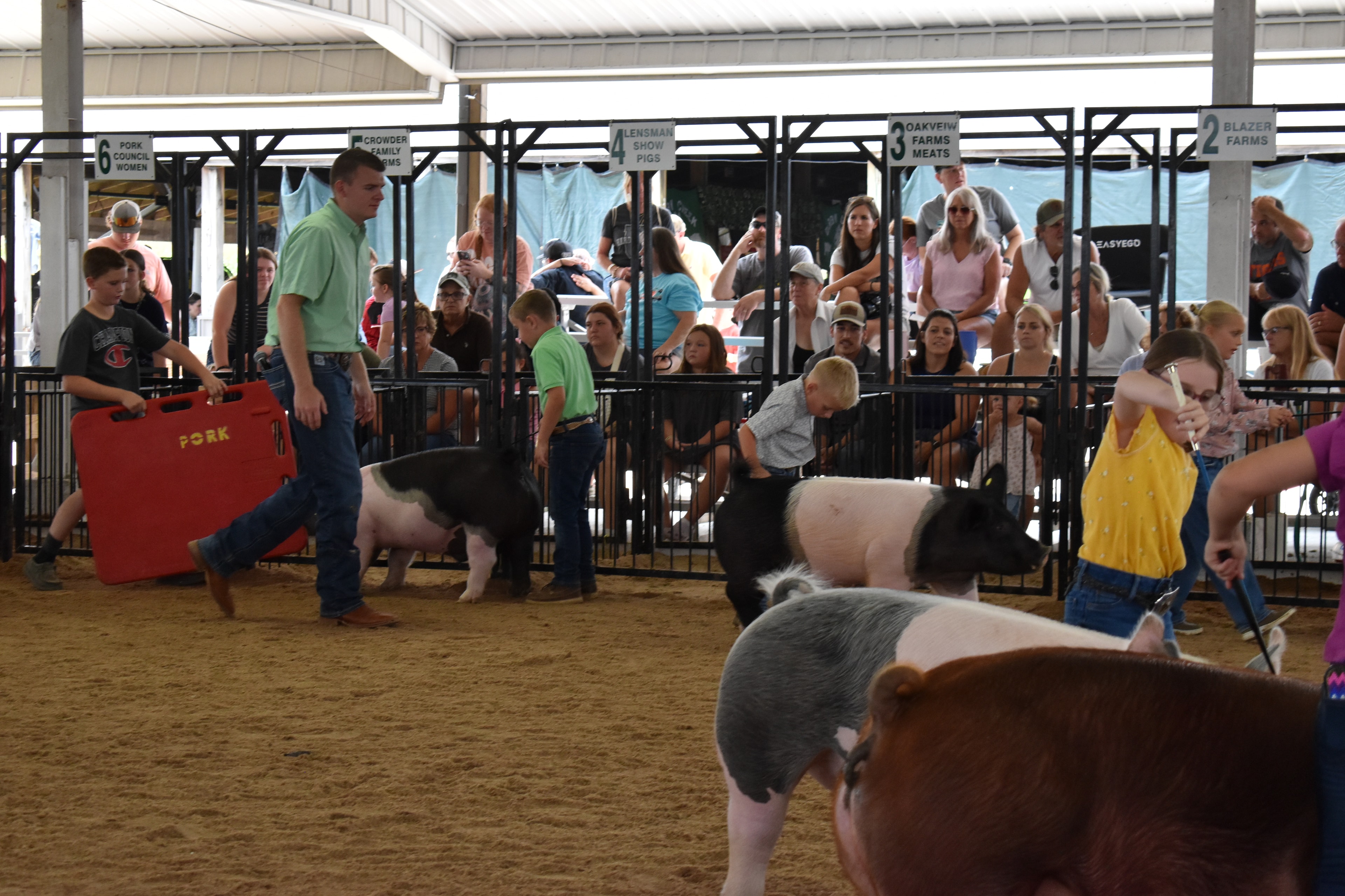 Wide arena shot with multiple exhibitors — boy in green polo with Hampshire cross pig, boy in Champion shirt and girl in yellow shirt with spotted pig, boy in plaid shirt with Hampshire cross pig — Mark IV Farm, J.B.S. United, Da Ja View Farms, Pork Council Women, Crowder Family Farms sponsor pens behind with spectators