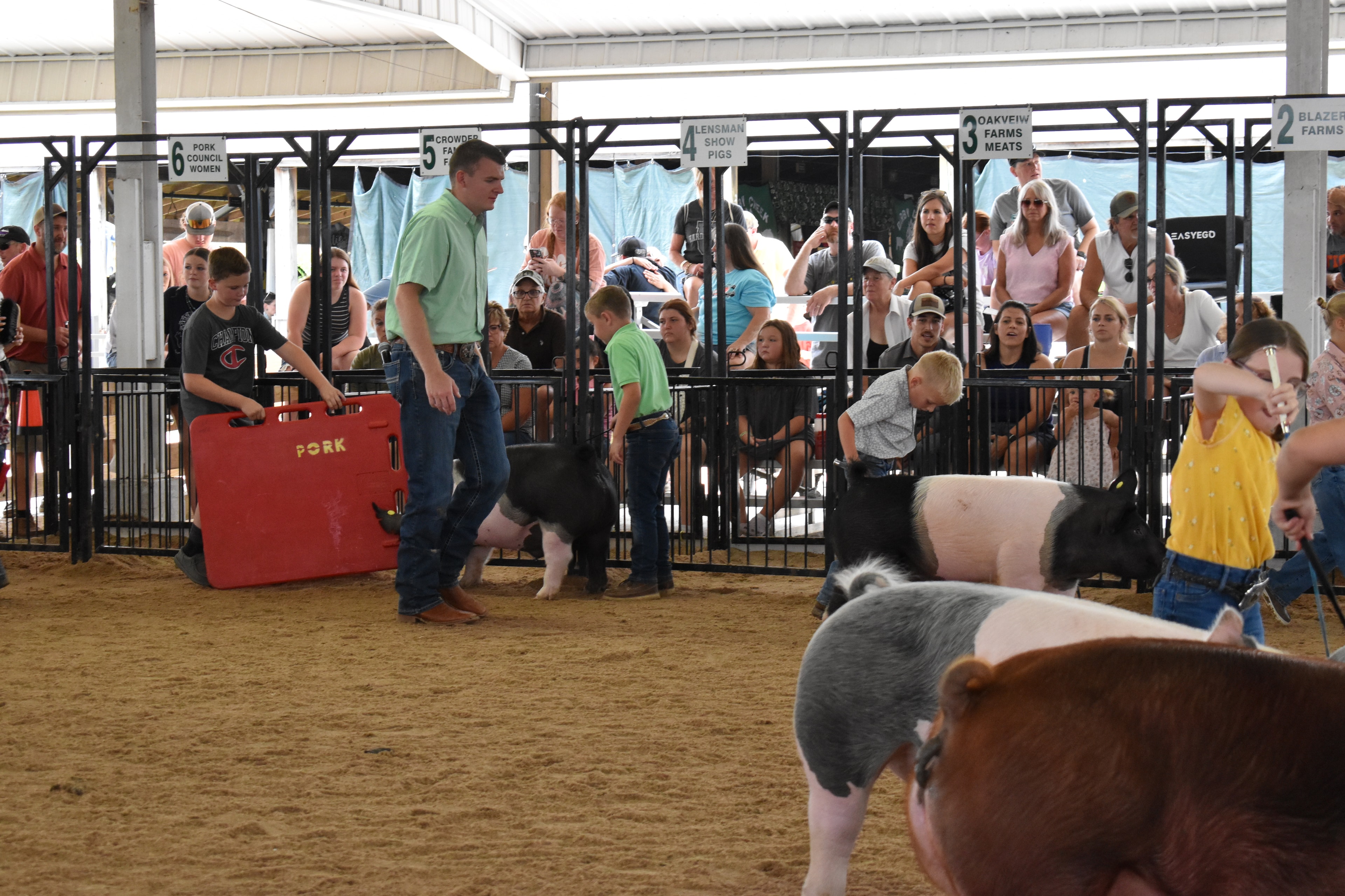 Wide arena shot with multiple exhibitors — boy in green polo with Hampshire cross pig, boy in Champion shirt and girl in yellow shirt with spotted pig, boy in plaid shirt with Hampshire cross pig — Mark IV Farm, J.B.S. United, Da Ja View Farms, Pork Council Women, Crowder Family Farms sponsor pens behind with spectators