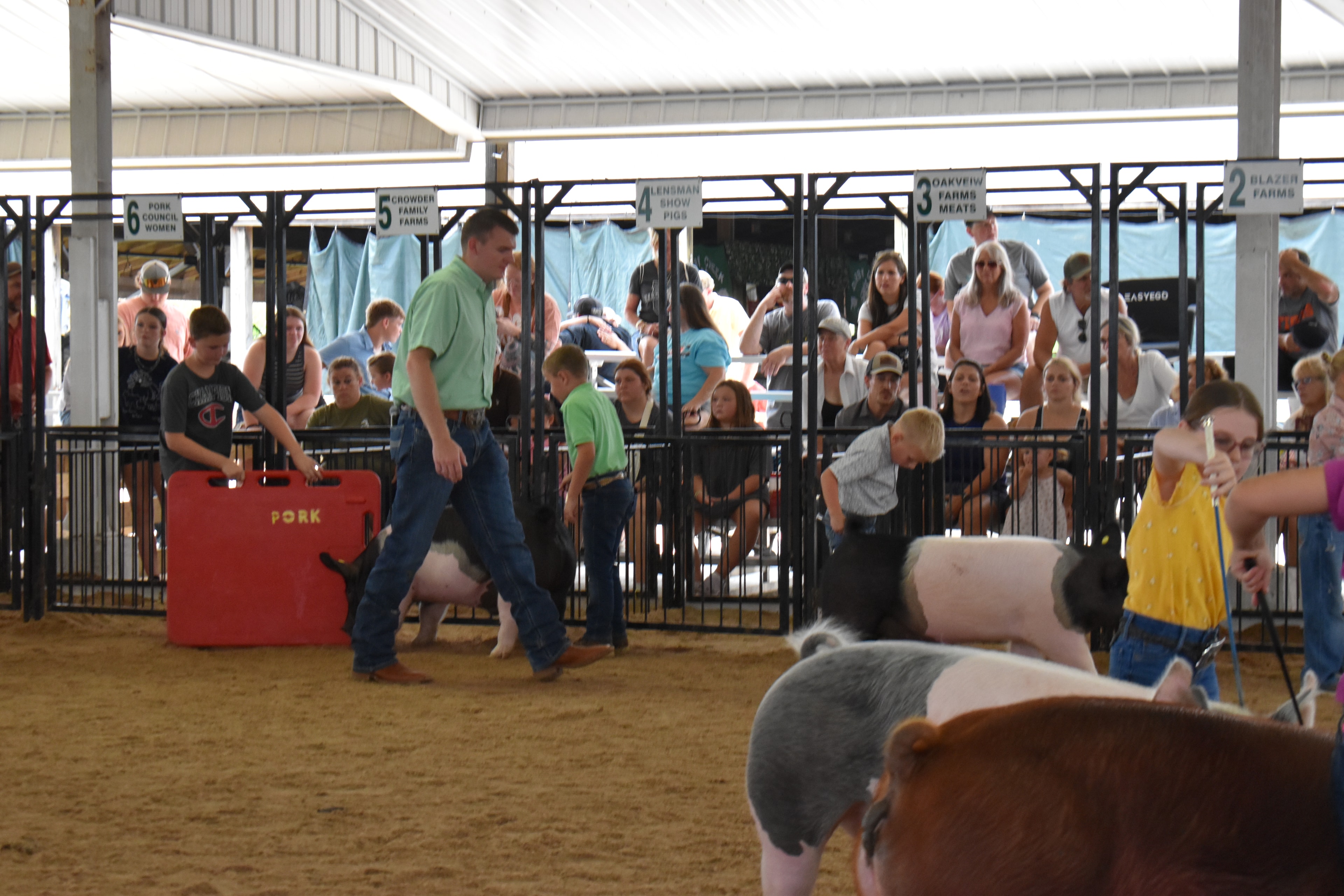 Wide arena shot with multiple exhibitors — boy in green polo with Hampshire cross pig, boy in Champion shirt and girl in yellow shirt with spotted pig, boy in plaid shirt with Hampshire cross pig — Mark IV Farm, J.B.S. United, Da Ja View Farms, Pork Council Women, Crowder Family Farms sponsor pens behind with spectators