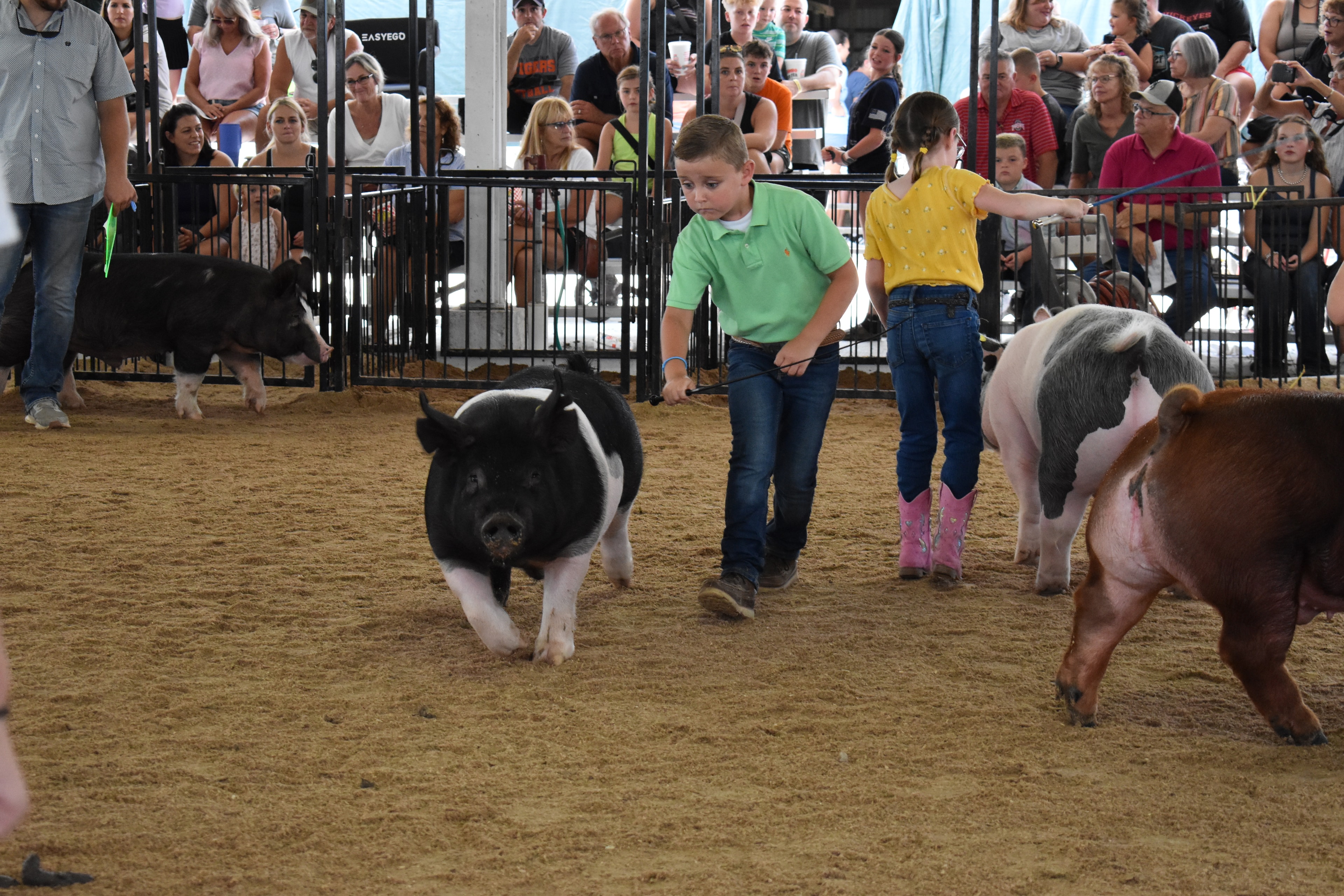 Boy in green polo shirt steering large black Hampshire cross pig solo — packed grandstands with spectators watching intently, spotted pig head visible at lower left foreground, Oakview Farms Meats and Blazer Farms and Mark Sommers memorial sponsor signs visible above