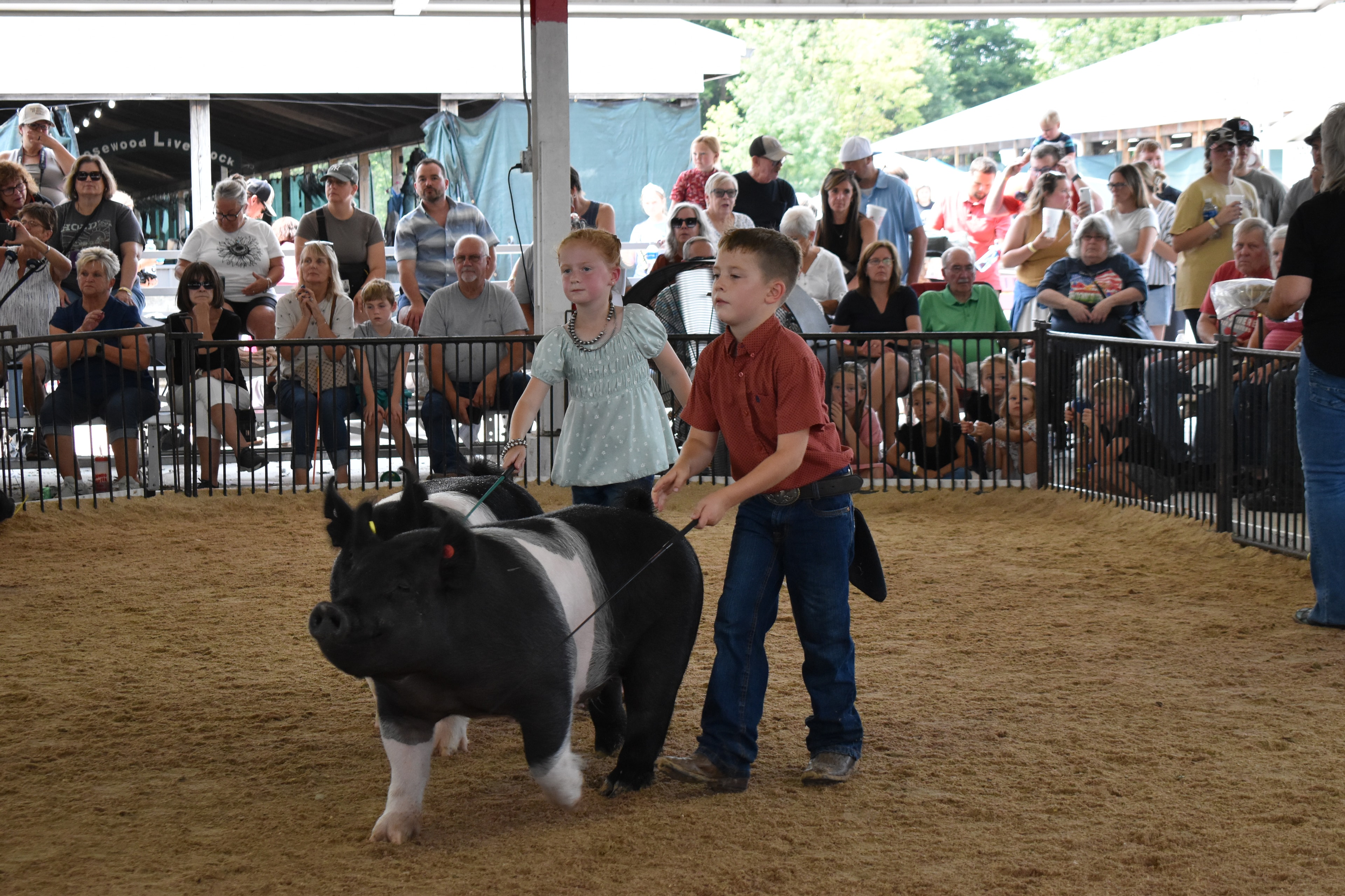 Boy in red shirt steering large black-and-white Hampshire cross pig with show stick — girl in teal top with pearl necklace walking alongside, Mark Sommers memorial sign visible, packed grandstands watching