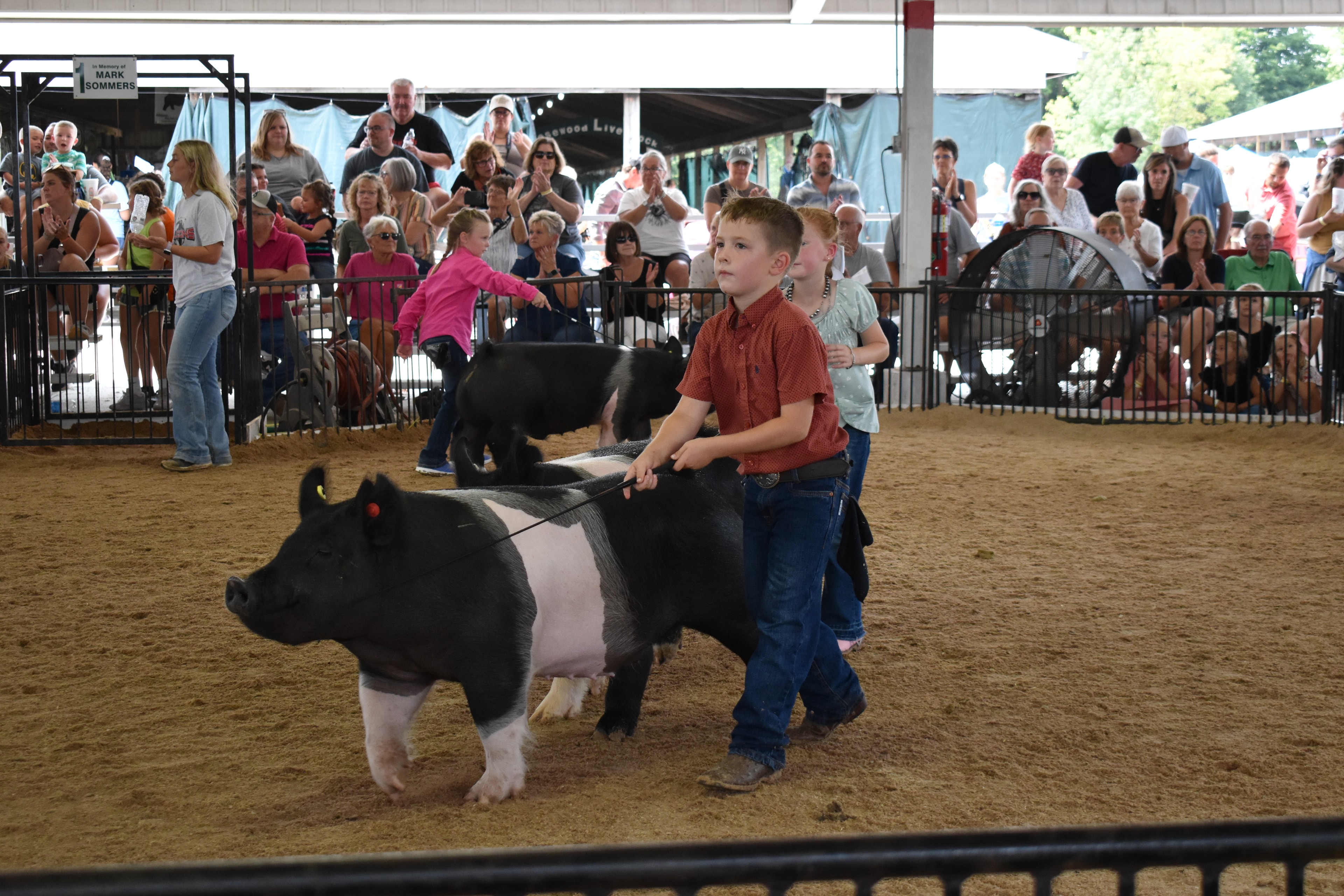 Boy in red shirt steering large black-and-white Hampshire cross pig with show stick — girl in teal top with pearl necklace walking alongside, Mark Sommers memorial sign visible, packed grandstands watching and applauding