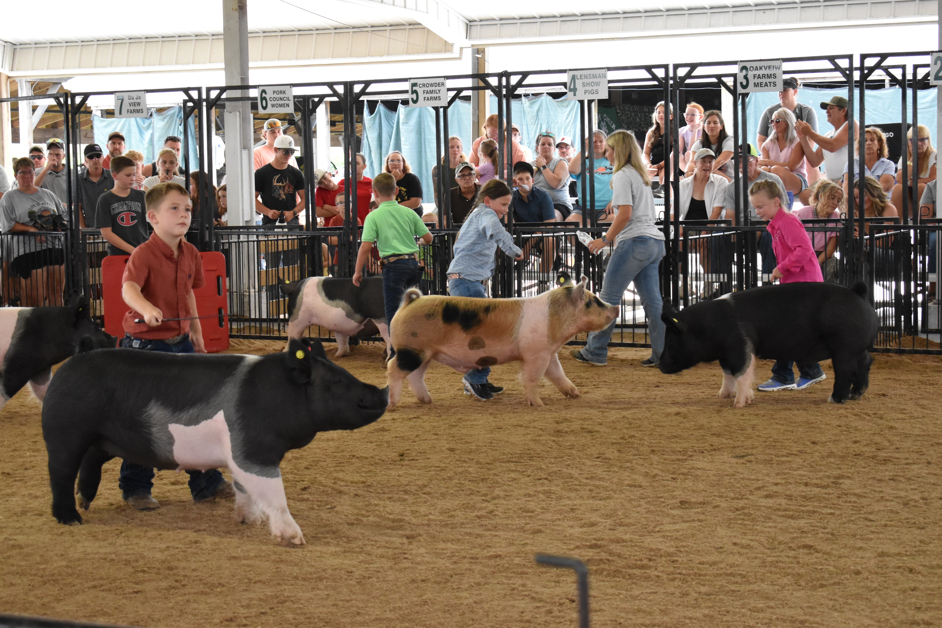 Boy in orange-red shirt steering large black Hampshire cross pig with yellow ear tag — smaller boy in blue shirt steering second Hampshire cross pig behind, girl in pink shirt at left, Lensman Show Pigs, Oakview Farms Meats, Blazer Farms, Mark Sommers memorial sponsor signs above packed grandstands