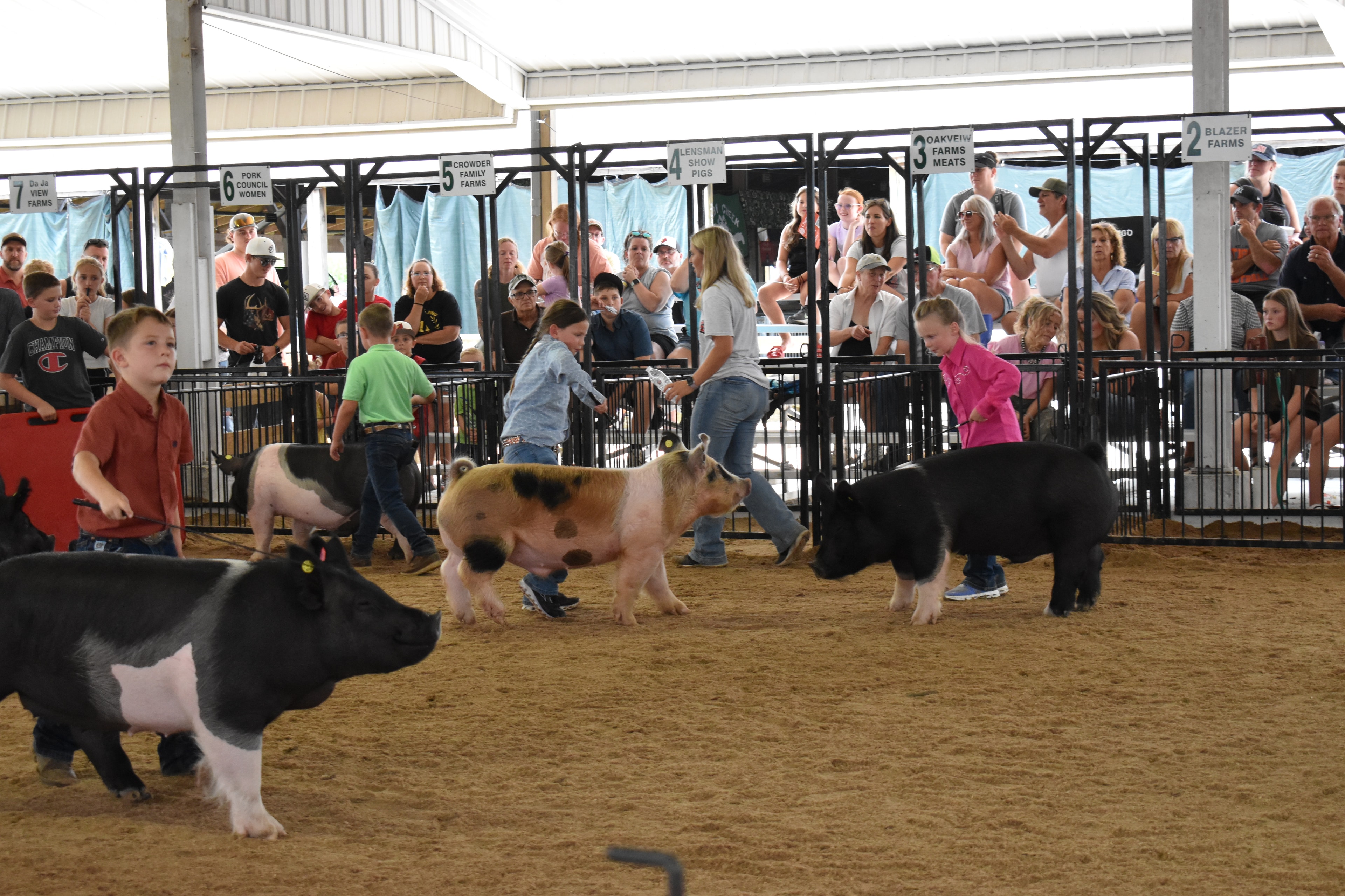 Boy in orange-red shirt steering large black Hampshire cross pig — red-haired girl in mint polka-dot top with white bow at right foreground steering black pig, Blazer Farms and Mark Sommers memorial sponsor signs above packed grandstands watching intently