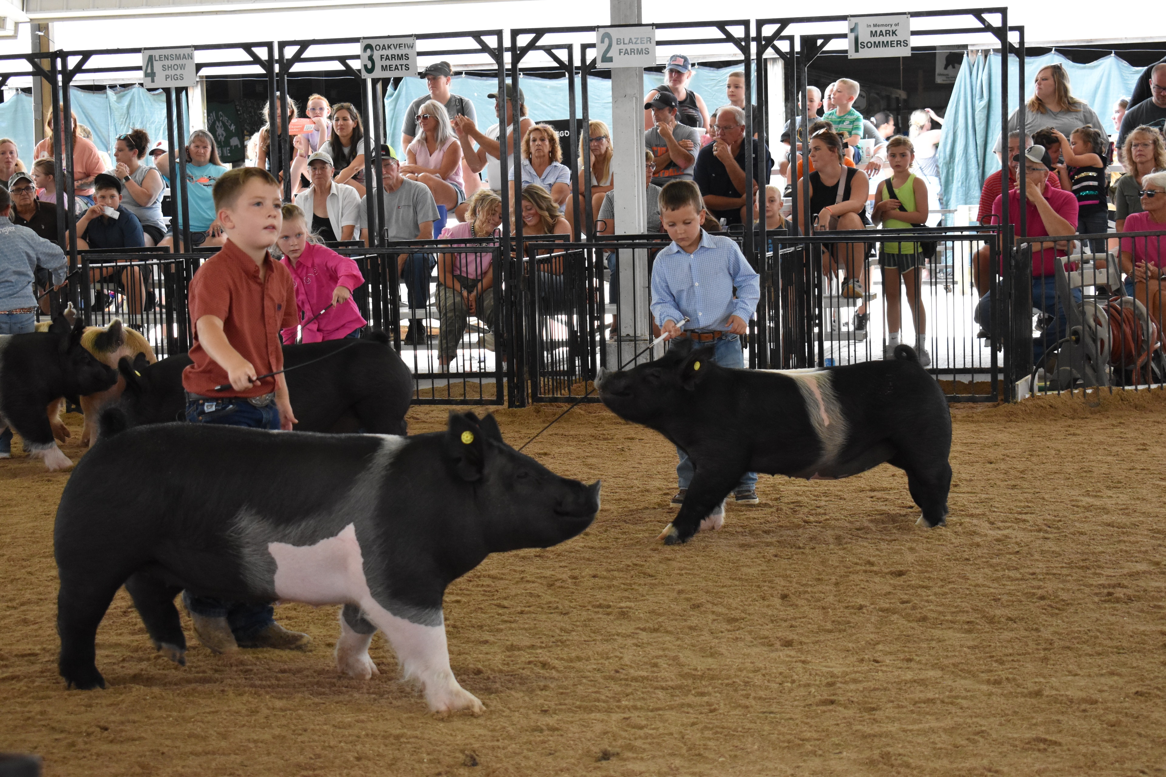 Boy in orange-red shirt steering large black Hampshire cross pig — red-haired girl in mint polka-dot top with white bow at right foreground steering black pig, Blazer Farms and Mark Sommers memorial sponsor signs above packed grandstands watching intently