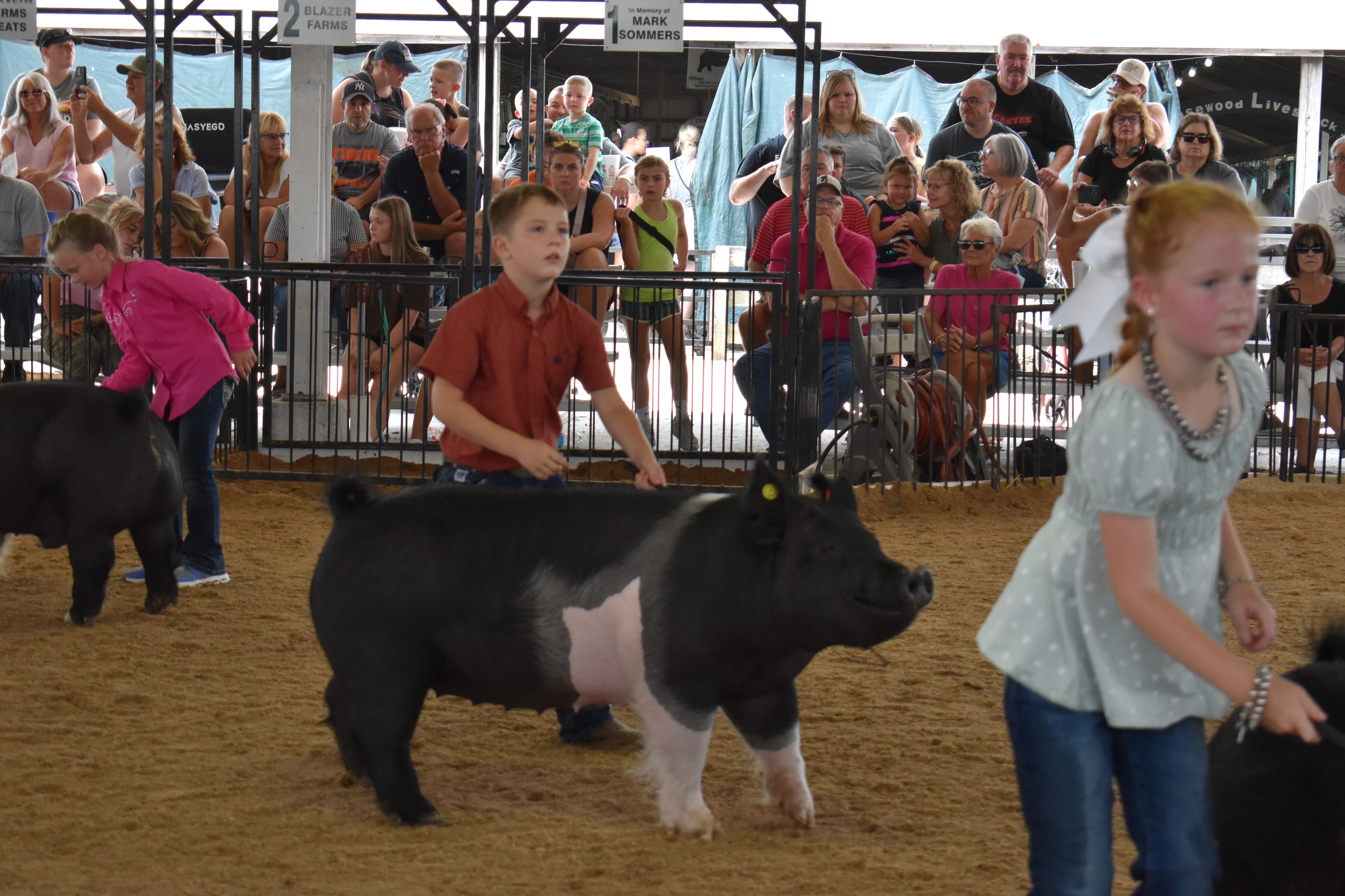 Boy in orange-red shirt steering large black Hampshire cross pig with yellow ear tag — smaller boy in blue shirt steering second Hampshire cross pig behind, girl in pink shirt at left, Lensman Show Pigs, Oakview Farms Meats, Blazer Farms, Mark Sommers memorial sponsor signs above packed grandstands