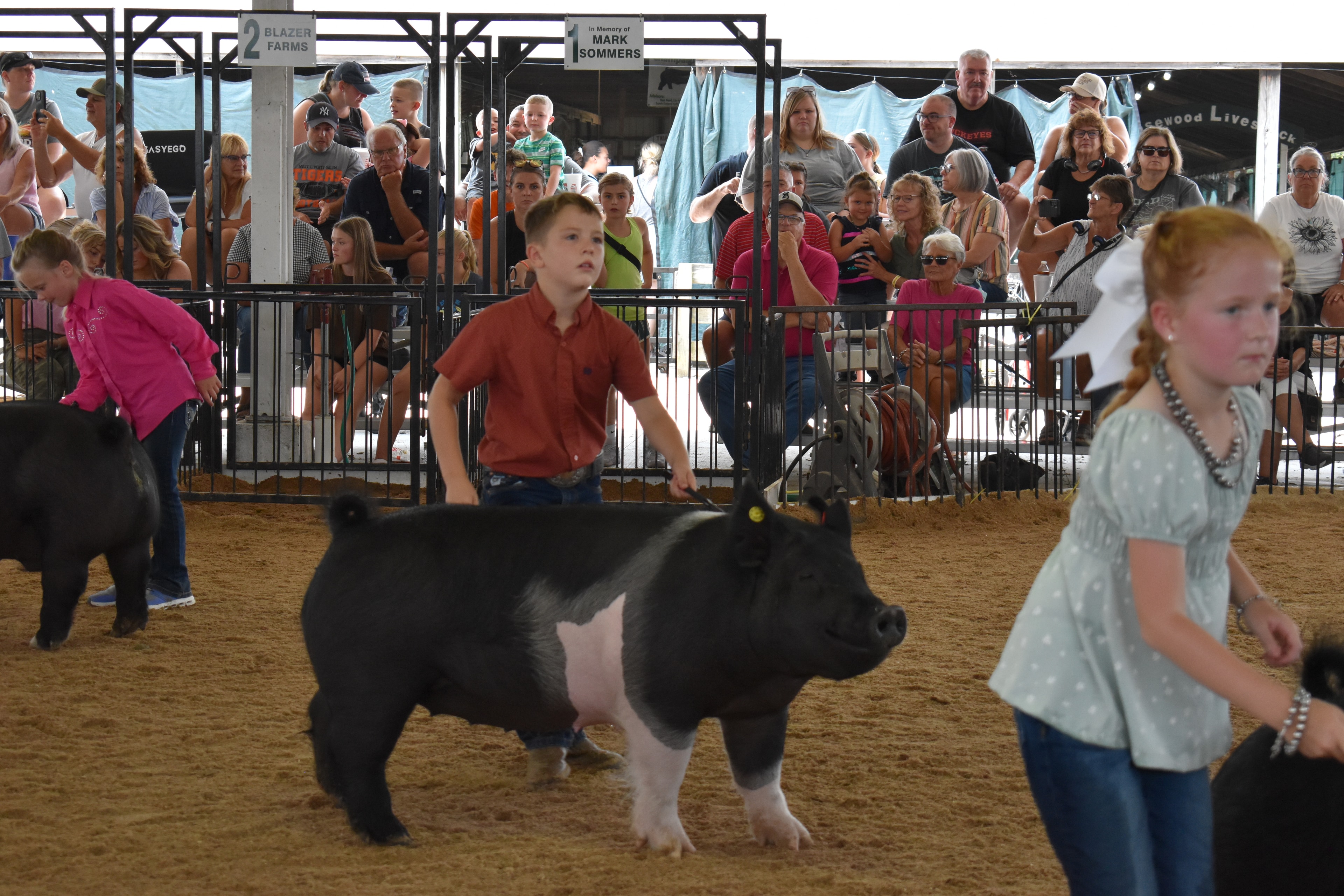 Boy in orange-red shirt steering large black Hampshire cross pig with yellow ear tag — smaller boy in blue shirt steering second Hampshire cross pig behind, girl in pink shirt at left, Lensman Show Pigs, Oakview Farms Meats, Blazer Farms, Mark Sommers memorial sponsor signs above packed grandstands