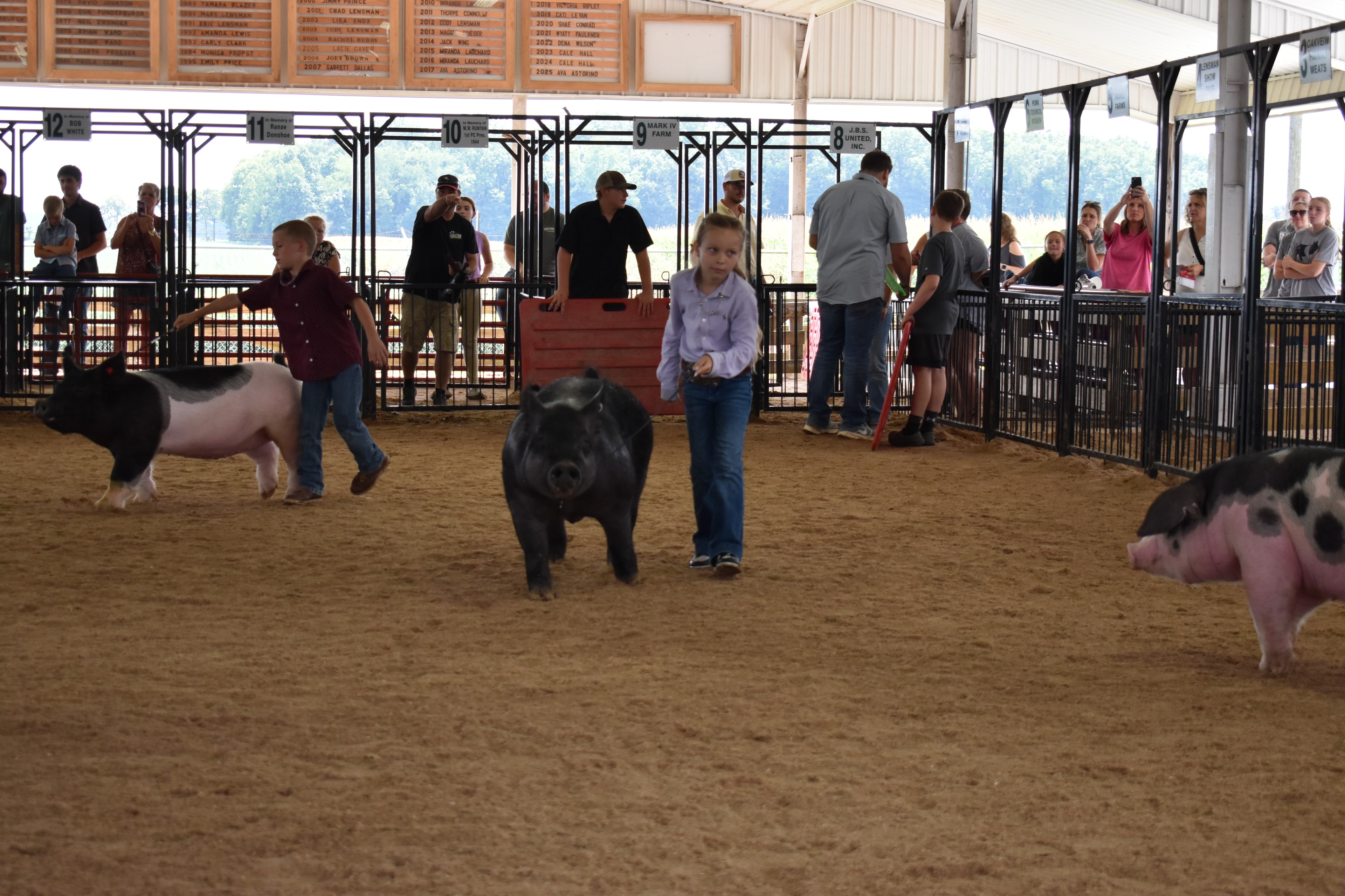 Girl in lavender button-up shirt with western belt buckle steering large solid black pig — boy in dark red plaid shirt steering black-and-white spotted Hampshire cross pig behind, red PORK board visible at left, Da Ja View Farms, Pork Council Women, Crowder Family Farms, Lensman Show Pigs, Oakview Farms Meats sponsor pens behind with packed grandstands