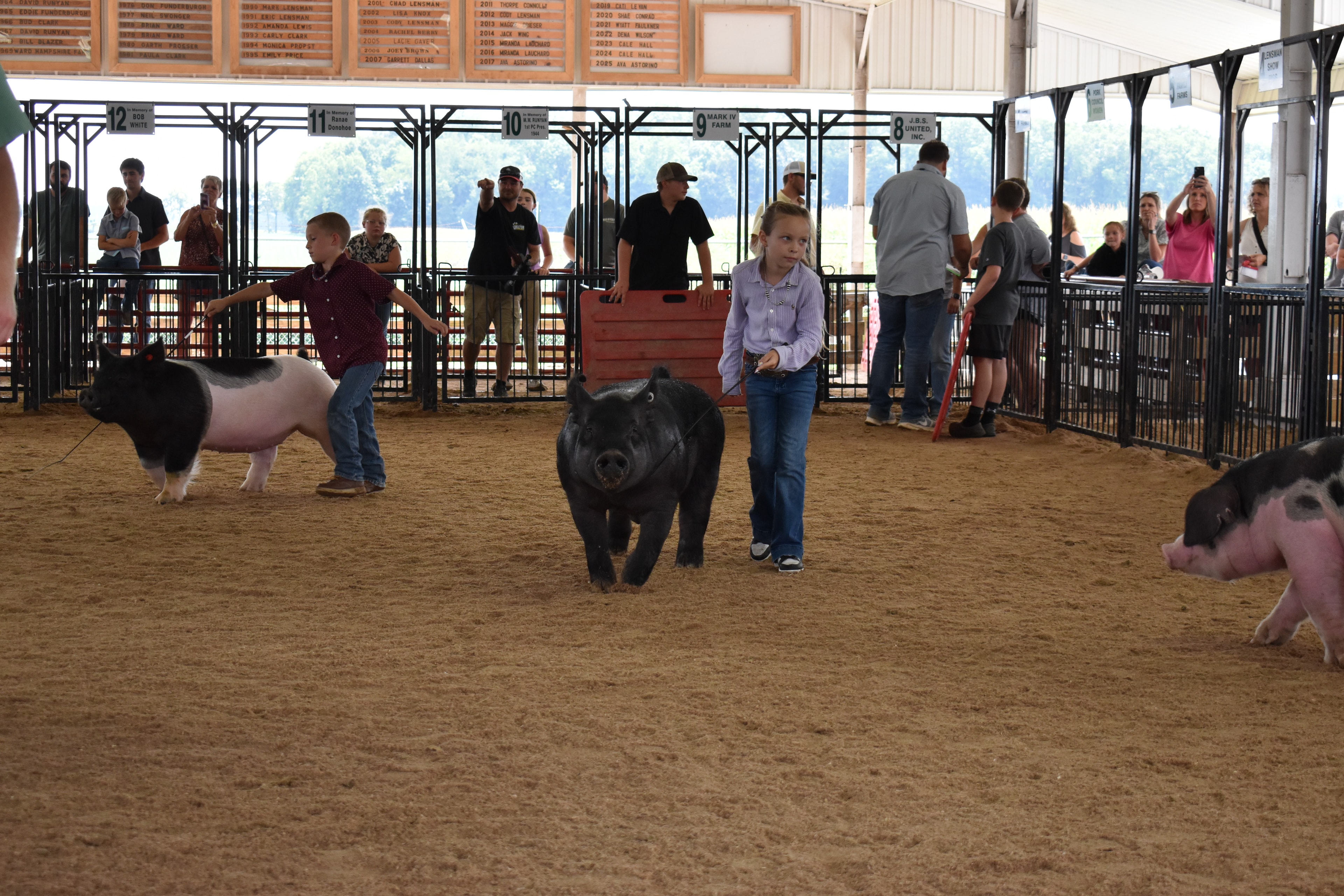 Girl in lavender button-up shirt with western belt buckle steering large solid black pig — boy in dark red plaid shirt steering black-and-white spotted Hampshire cross pig behind, red PORK board visible at left, Da Ja View Farms, Pork Council Women, Crowder Family Farms, Lensman Show Pigs, Oakview Farms Meats sponsor pens behind with packed grandstands