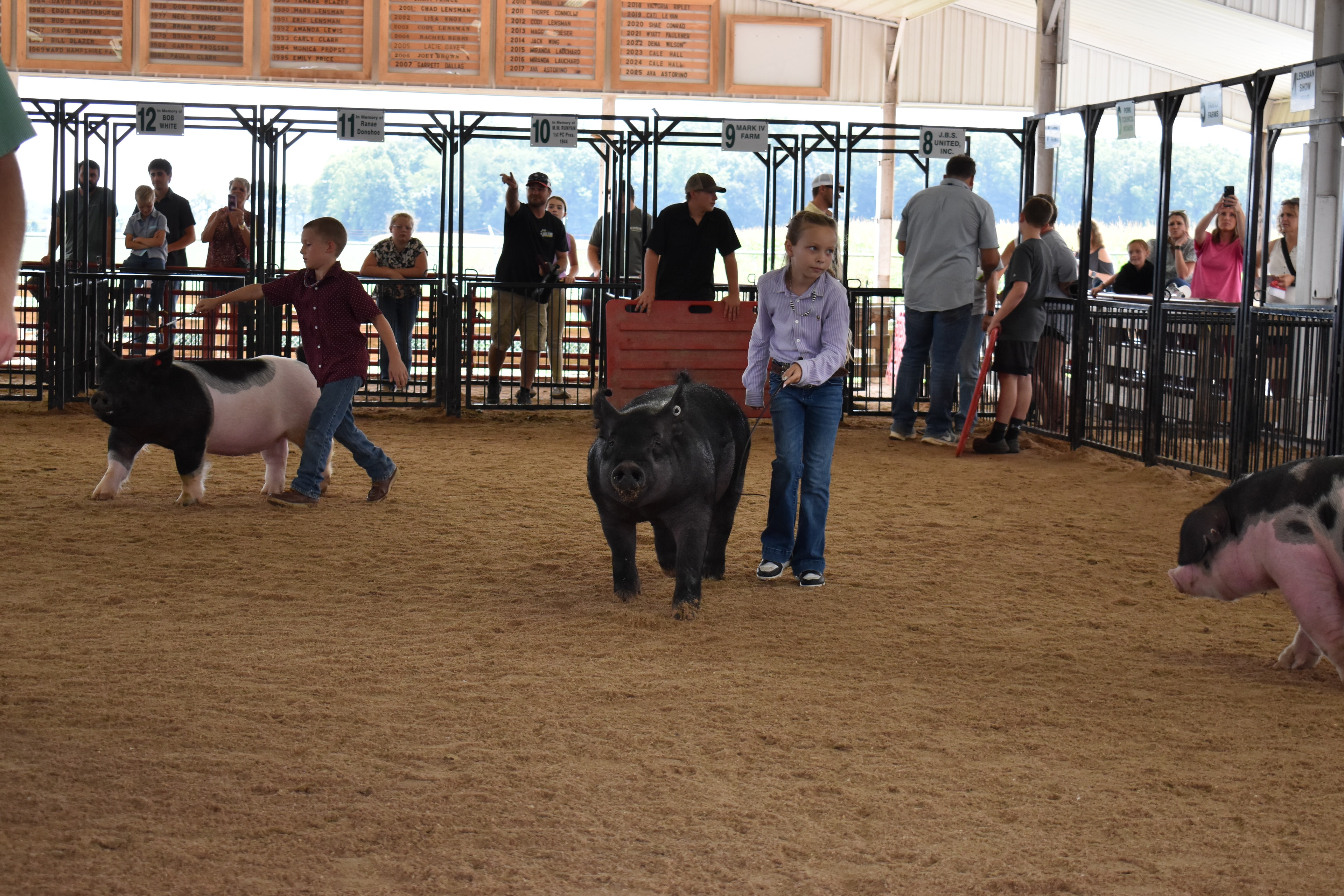 Boy in orange-red shirt steering large black-and-white Hampshire cross pig with yellow ear tag — girl in pink shirt steering solid black pig behind, Oakview Farms Meats, Blazer Farms, Mark Sommers memorial sponsor signs above packed grandstands watching intently