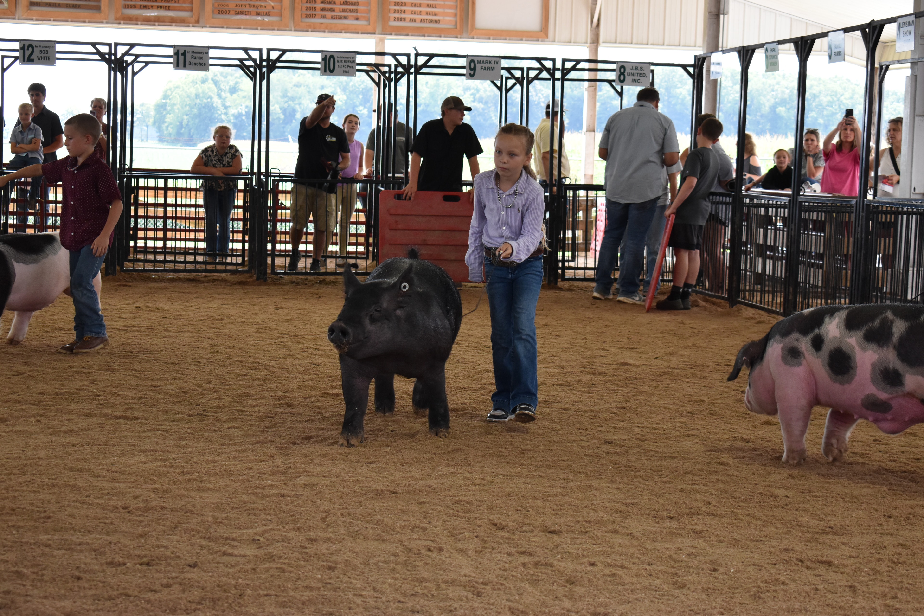 Boy in orange-red shirt steering large black-and-white Hampshire cross pig — red-haired girl in mint polka-dot top with large white bow at right foreground steering black pig, girl in pink shirt with black pig at left background, Blazer Farms and Mark Sommers memorial sponsor signs above packed grandstands