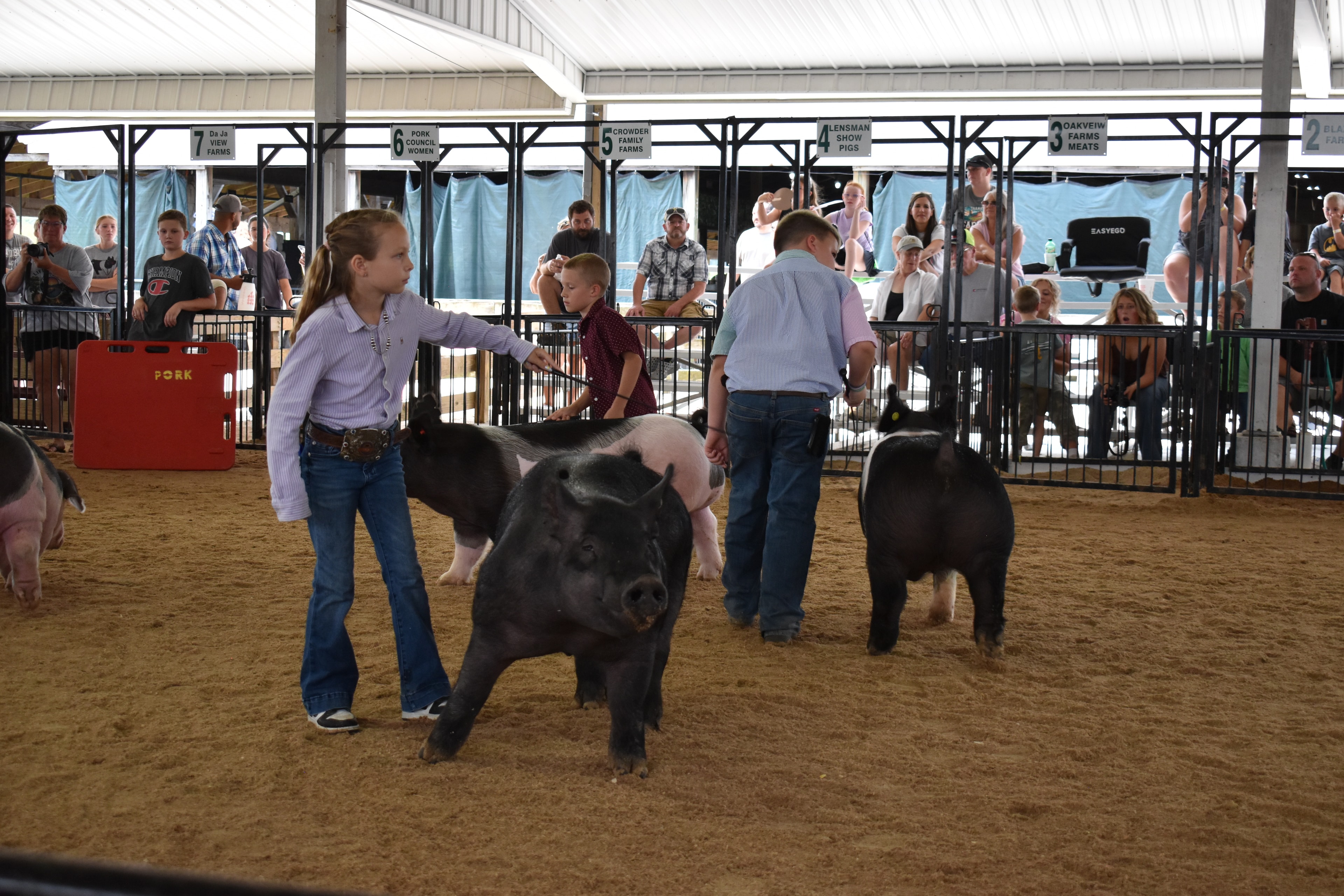 Wide arena shot — girl in lavender shirt steering solid black pig center, boy in dark red plaid shirt steering spotted Hampshire cross pig at left, Bob White and Renee Donohoe memorial and J.B.S. United sponsor pens visible, spectators watching from behind rail fence