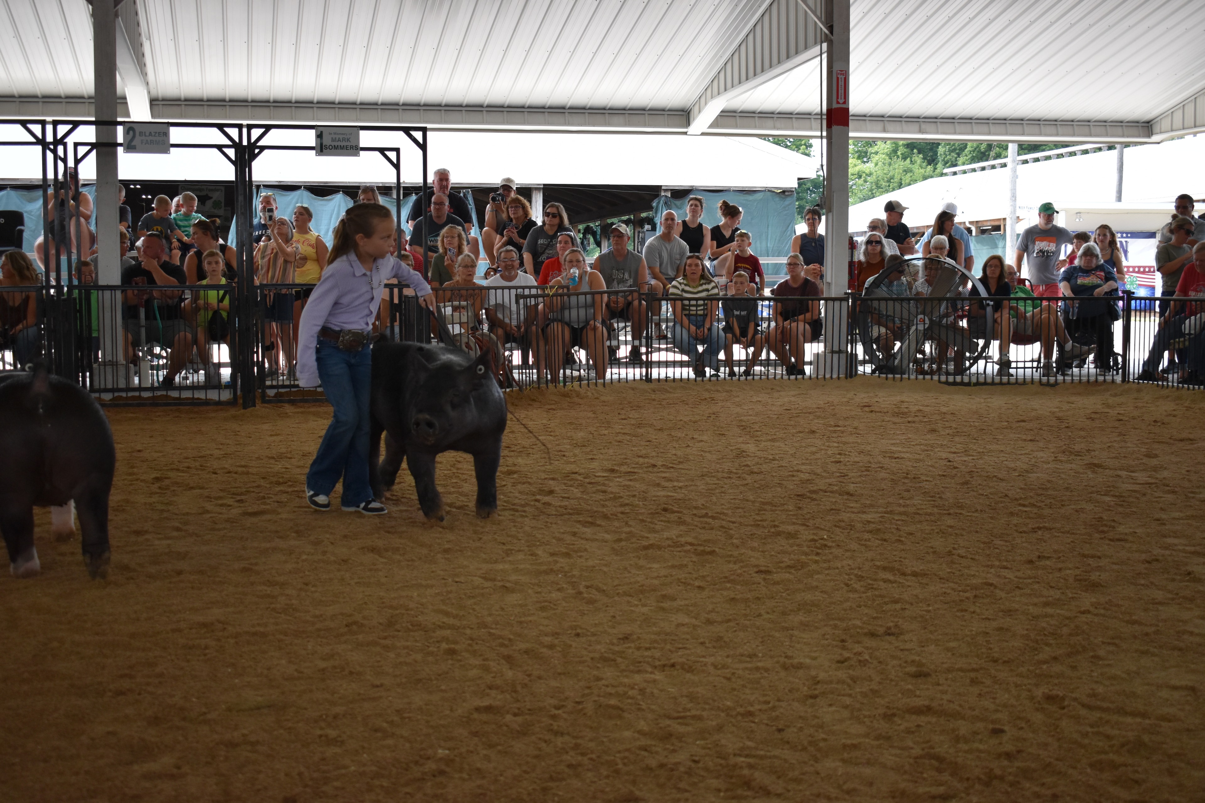Red-haired girl in lavender button-up shirt steering large solid black pig solo — packed grandstands with spectators watching intently, Blazer Farms and Mark Sommers memorial sponsor signs visible above