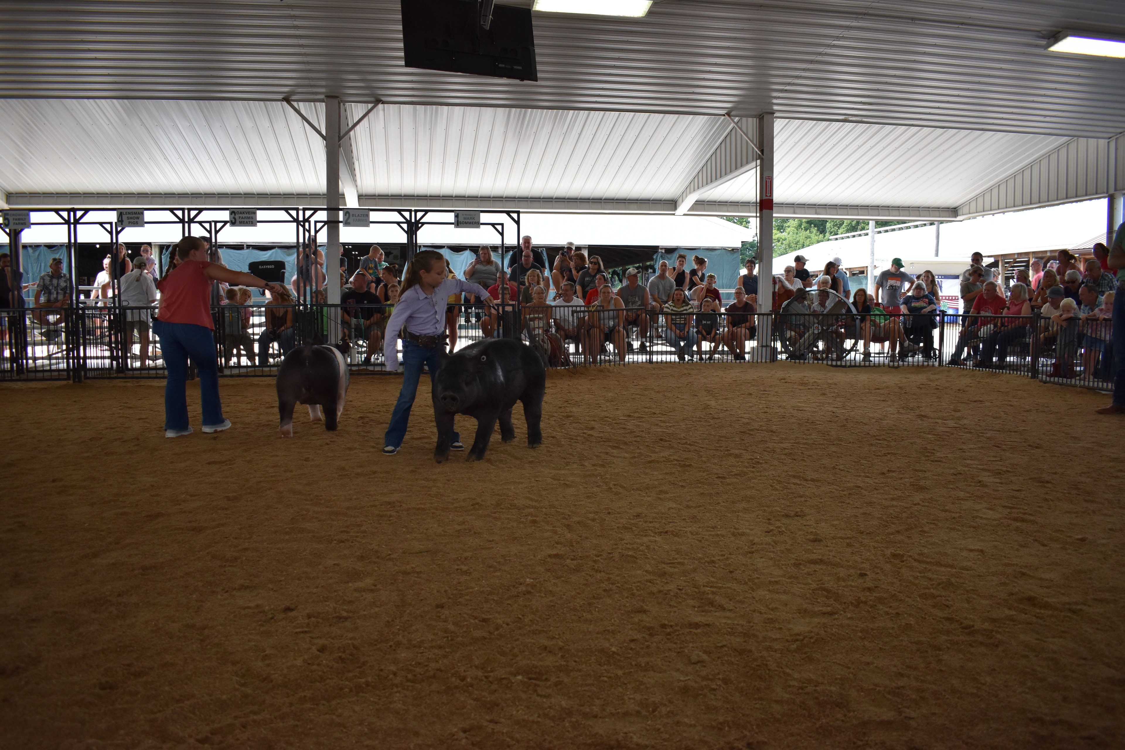 Girl in lavender button-up shirt steering large solid black pig solo — packed grandstands with spectators watching, Blazer Farms and Mark Sommers memorial sponsor signs visible above