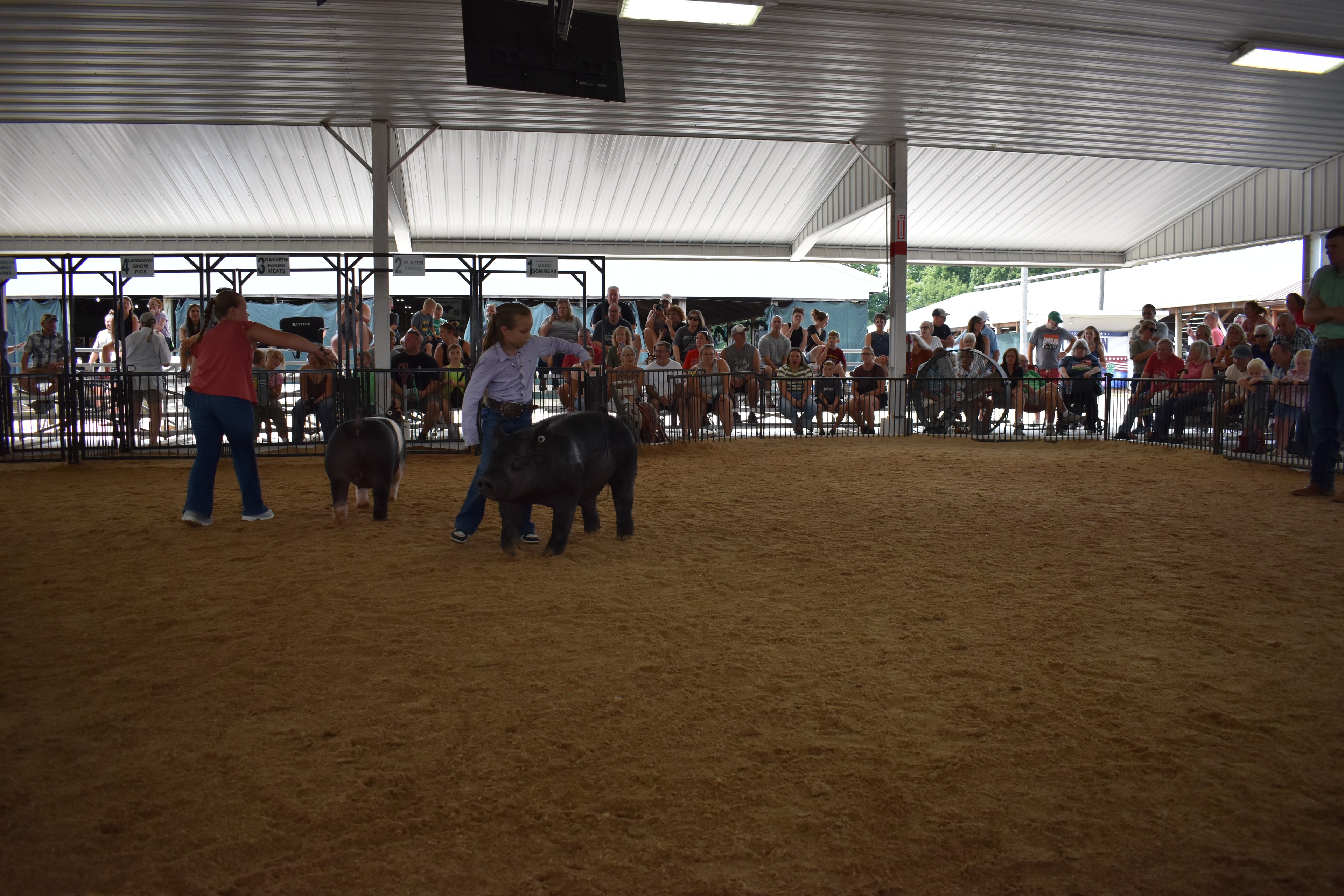 Girl in lavender button-up shirt steering large solid black pig solo — packed grandstands with spectators watching, Blazer Farms and Mark Sommers memorial sponsor signs visible above
