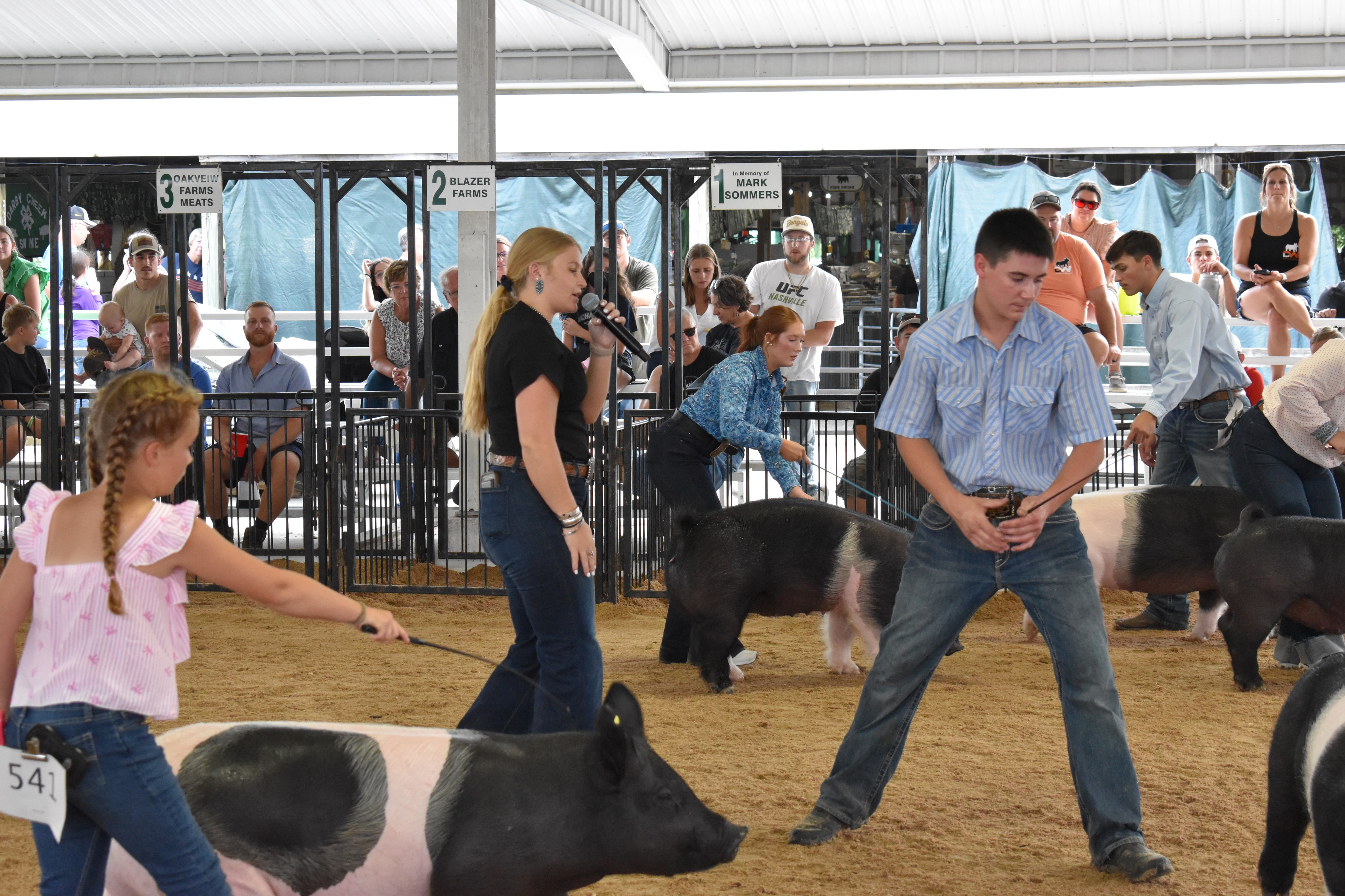 Exhibitor in blue floral shirt steering pig past announcer in the show ring at Champaign County Fair
