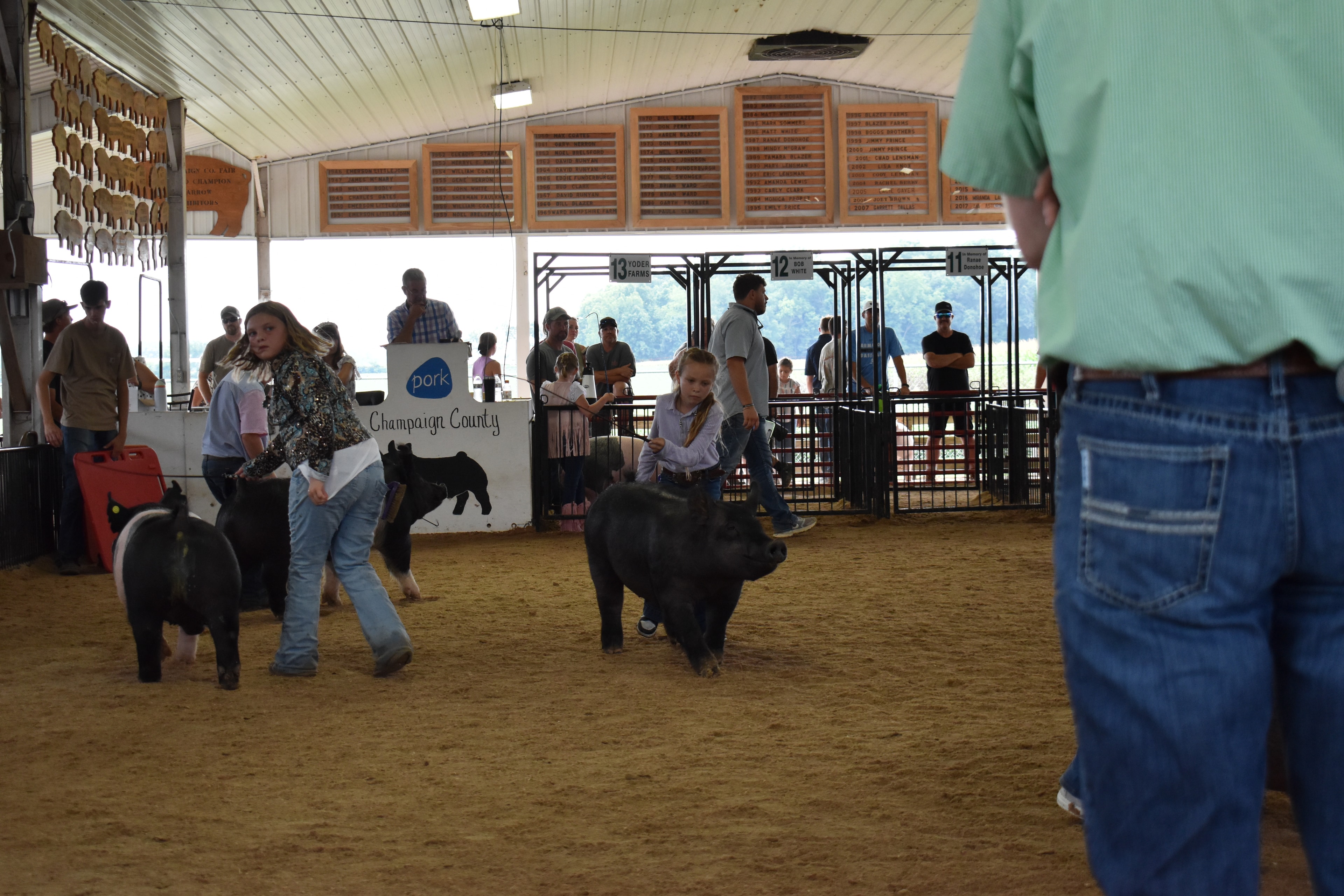 Girl in lavender striped shirt steering large solid black Hampshire cross pig with younger girl in light blue button-up shirt steering black-and-white Hampshire cross pig behind — Crowder Family Farms, Oakview Farms Meats, Blazer Farms, Mark Sommers memorial sponsor pens visible with packed grandstands watching