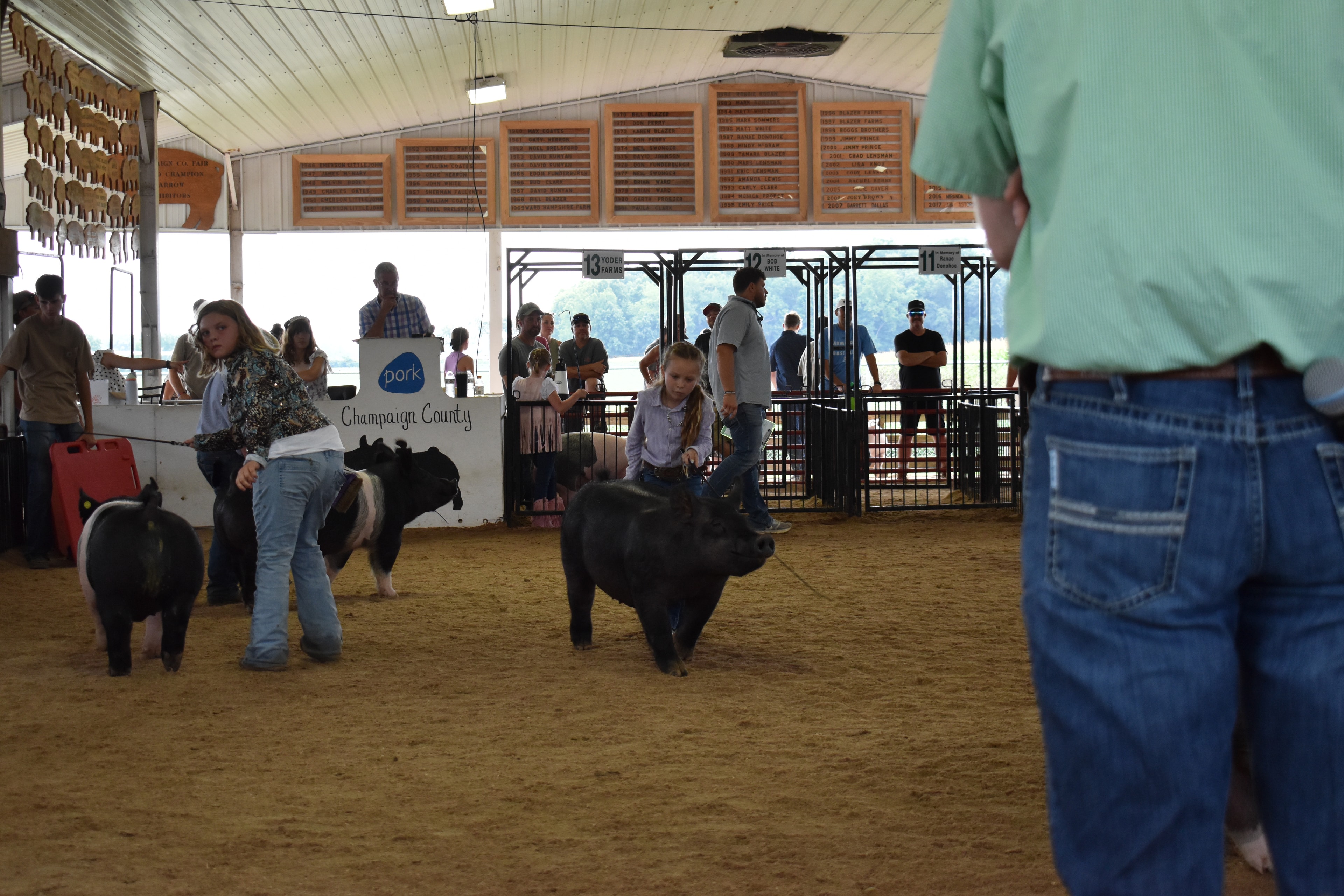 Girl in lavender striped shirt steering large solid black Hampshire cross pig with younger girl in light blue button-up shirt steering black-and-white Hampshire cross pig behind — Crowder Family Farms, Oakview Farms Meats, Blazer Farms, Mark Sommers memorial sponsor pens visible with packed grandstands watching