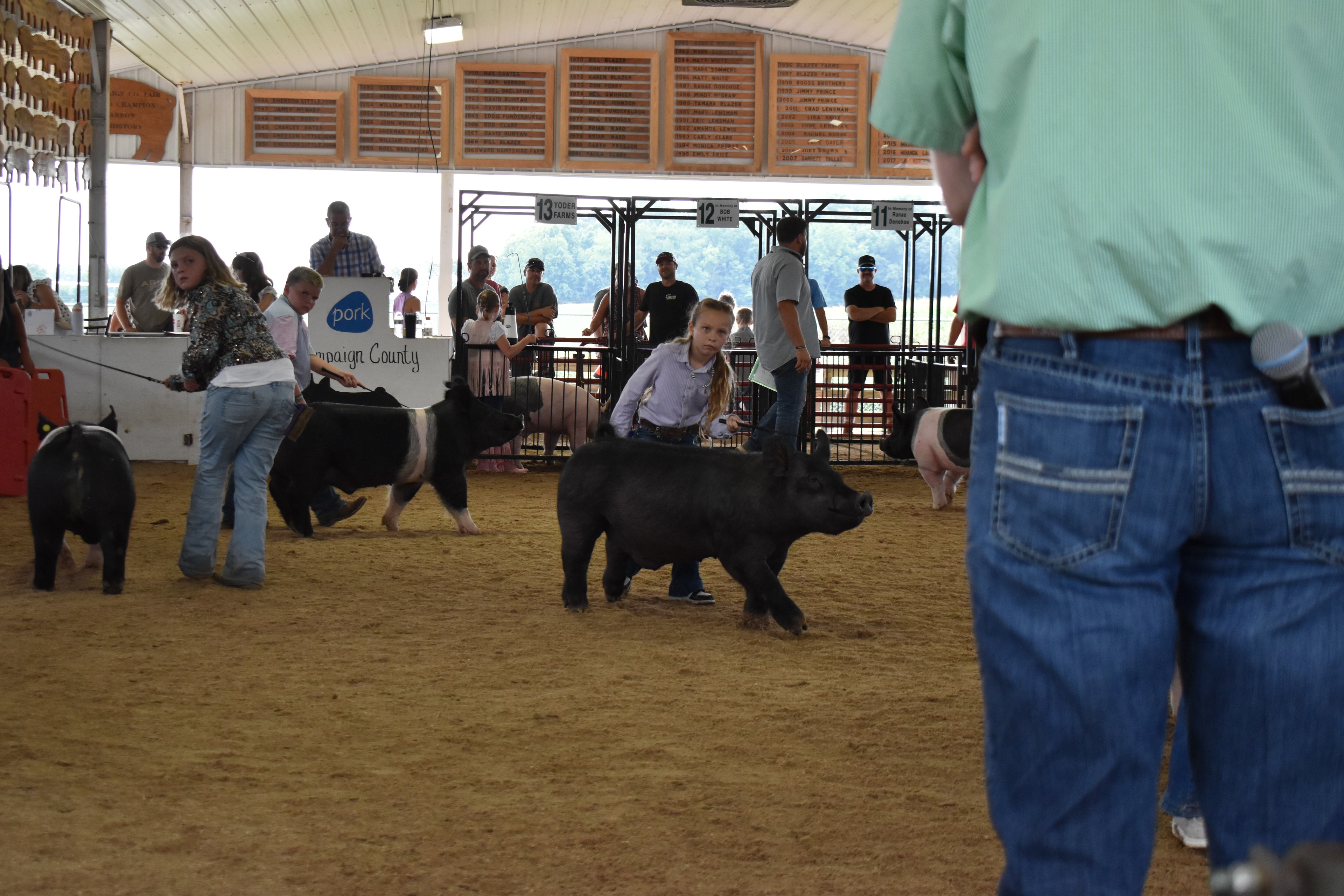 Wide arena shot — girl in lavender striped shirt steering large solid black Hampshire cross pig center with younger girl in light blue button-up shirt steering black-and-white Hampshire cross pig behind, girl in floral shirt with red PORK board at left, Crowder Family Farms, Oakview Farms Meats, Blazer Farms, Mark Sommers memorial sponsor pens visible with packed grandstands watching